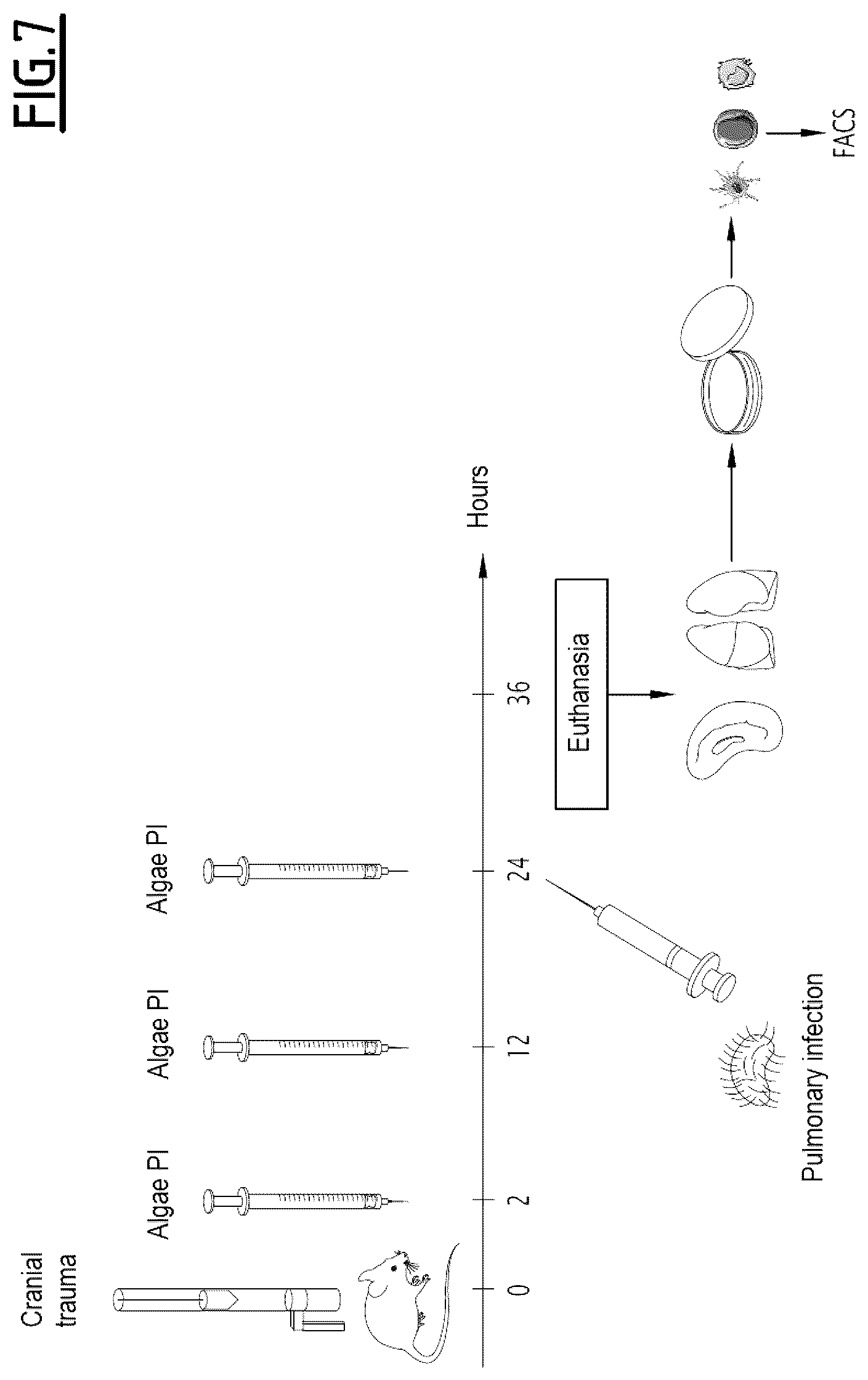 Patent US12377126 Figure 6 – Algal extract for use in the treatment or prevention of post-traumatic immunosuppression