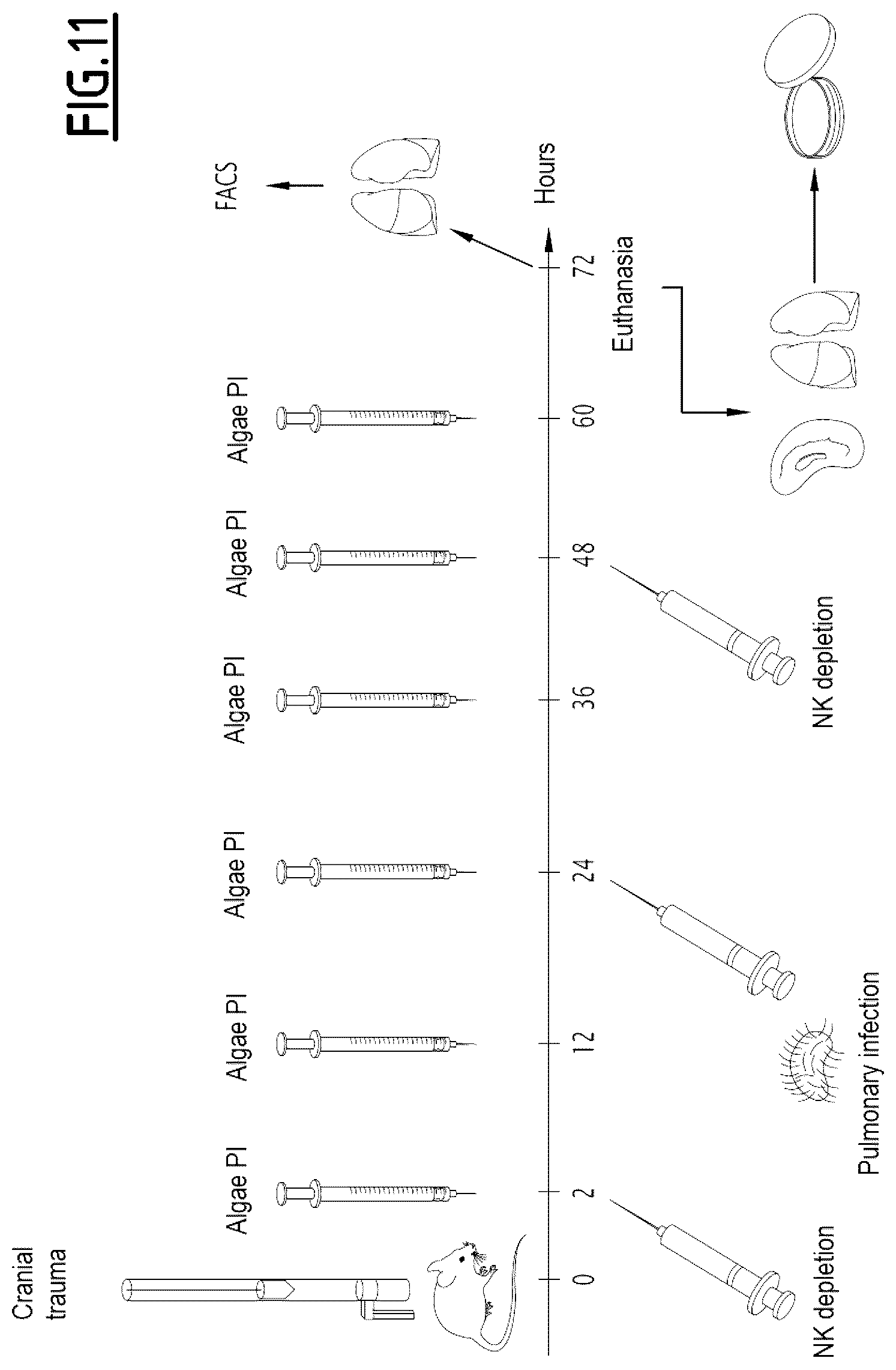 Patent US12377126 Figure 10 – Algal extract for use in the treatment or prevention of post-traumatic immunosuppression
