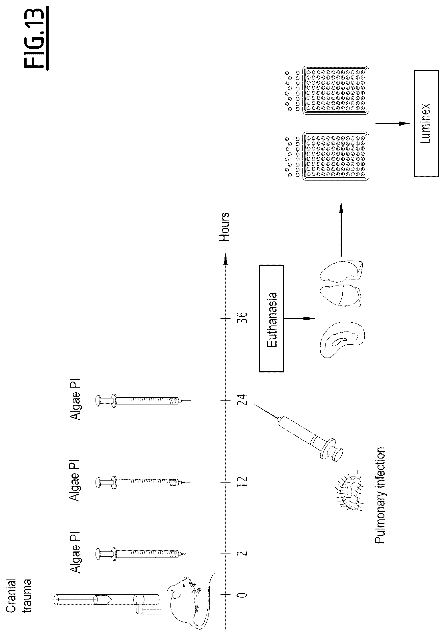 Patent US12377126 Figure 12 – Algal extract for use in the treatment or prevention of post-traumatic immunosuppression