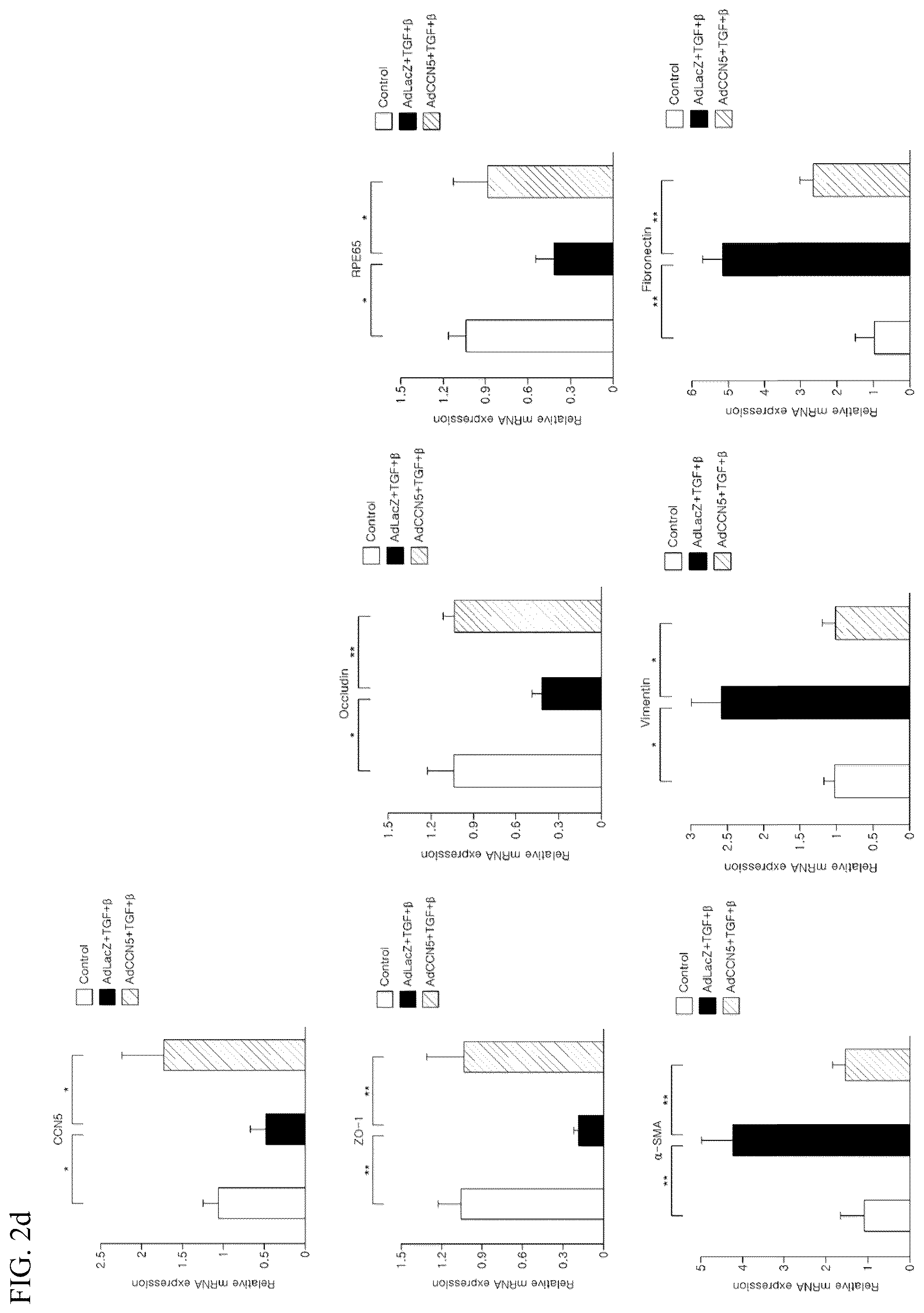 Patent US12377130 Figure 6 – Pharmaceutical composition comprising CCN5 as active ingredient, for preventing or treating retinal diseases