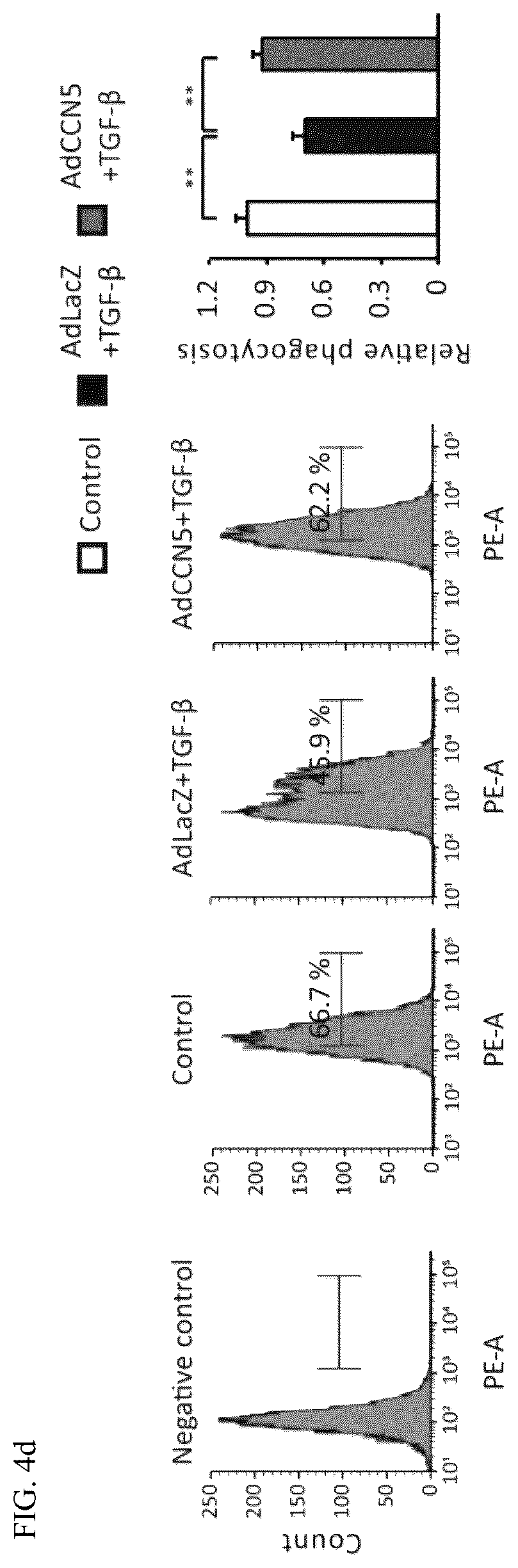 Patent US12377130 Figure 12 – Pharmaceutical composition comprising CCN5 as active ingredient, for preventing or treating retinal diseases