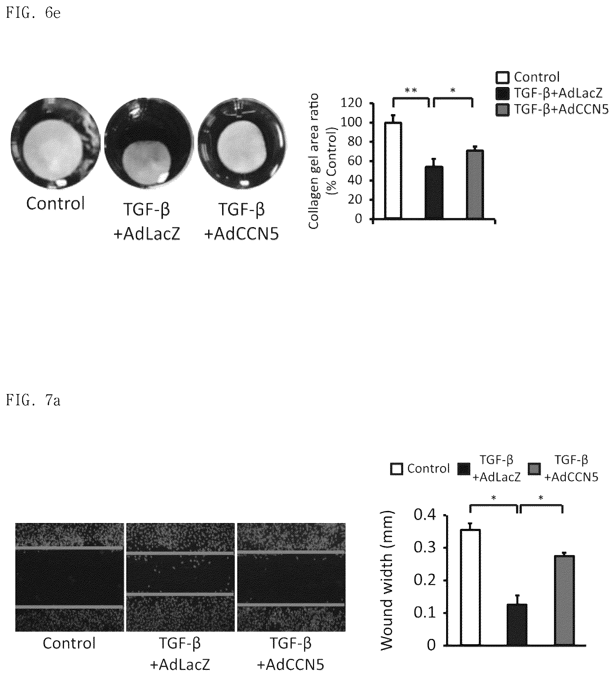 Patent US12377130 Figure 17 – Pharmaceutical composition comprising CCN5 as active ingredient, for preventing or treating retinal diseases