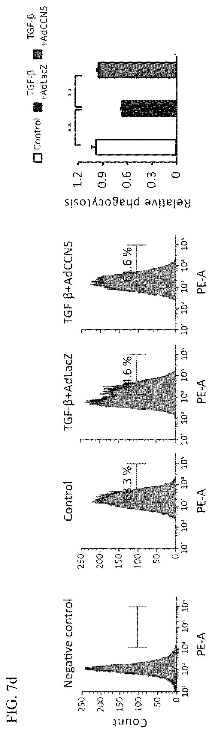 Patent US12377130 Figure 20 – Pharmaceutical composition comprising CCN5 as active ingredient, for preventing or treating retinal diseases
