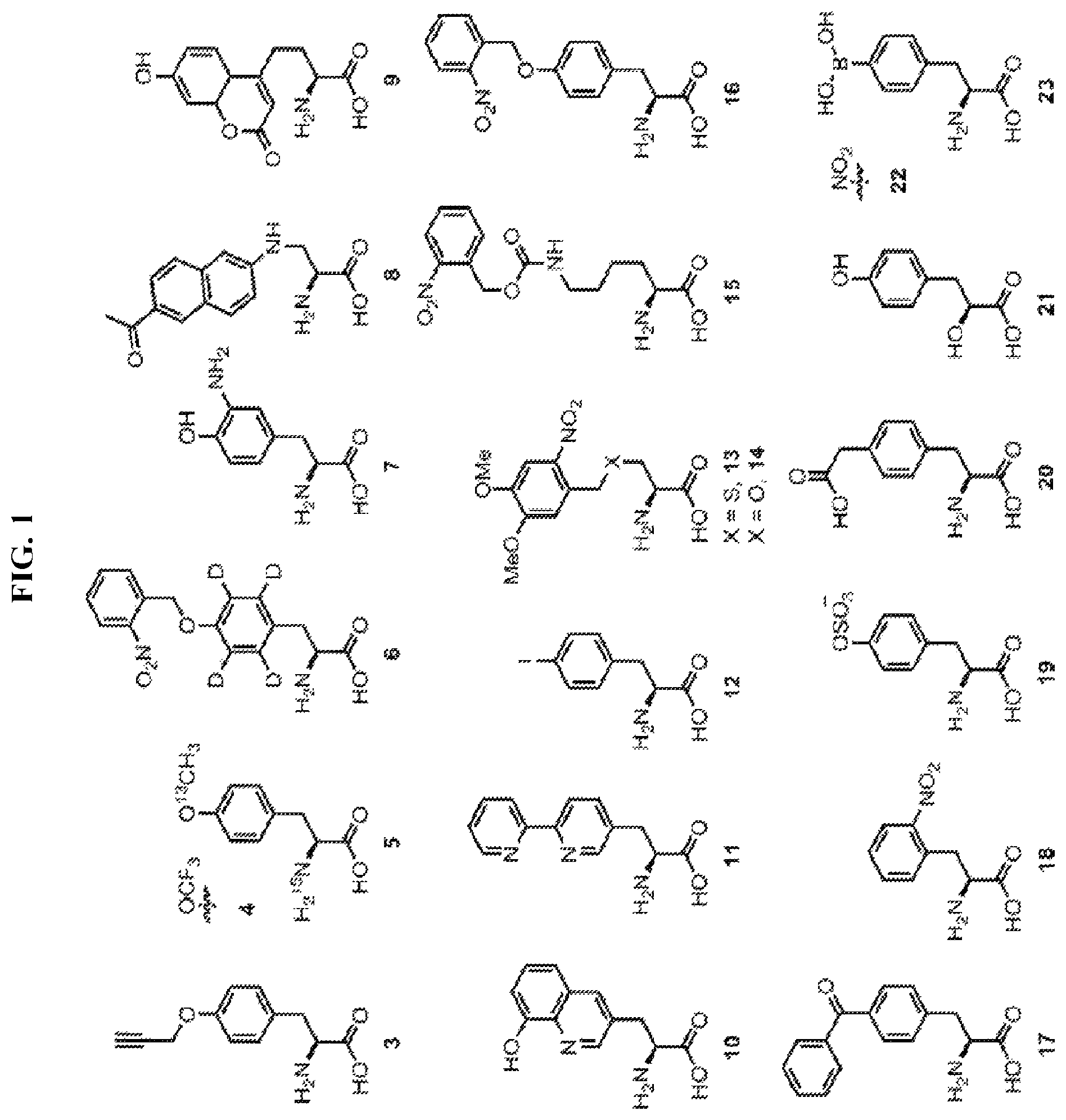 Patent US12377131 Figure 1 – Cytokine conjugates for the treatment of autoimmune diseases