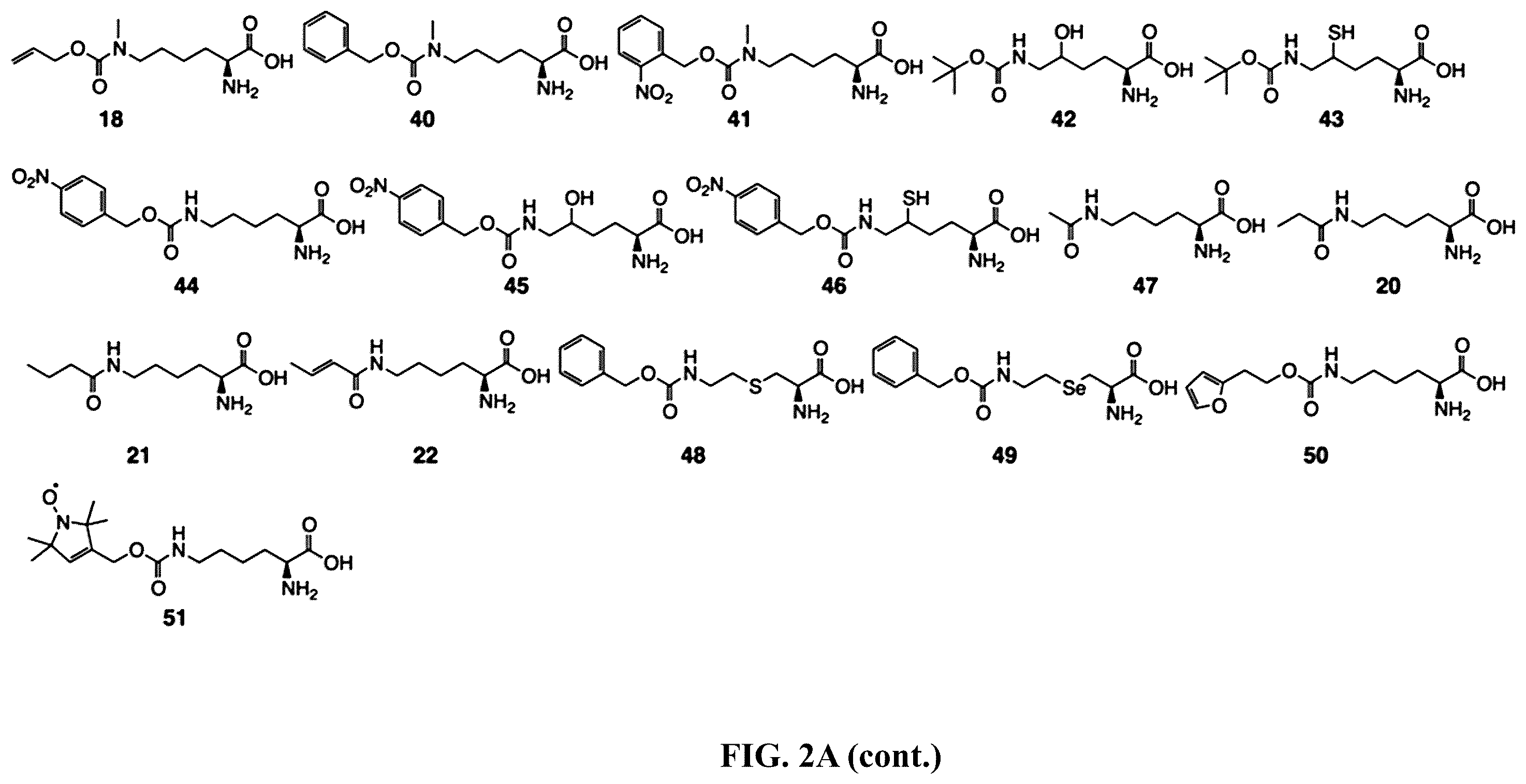Patent US12377131 Figure 3 – Cytokine conjugates for the treatment of autoimmune diseases