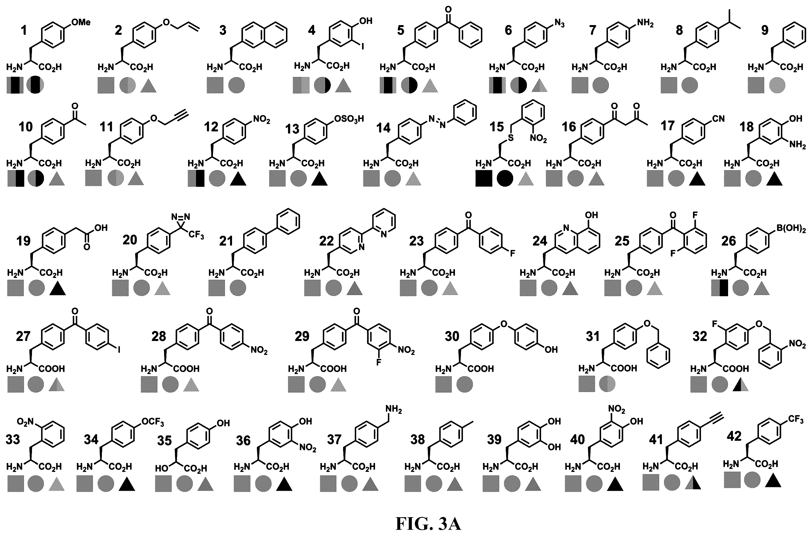 Patent US12377131 Figure 4 – Cytokine conjugates for the treatment of autoimmune diseases