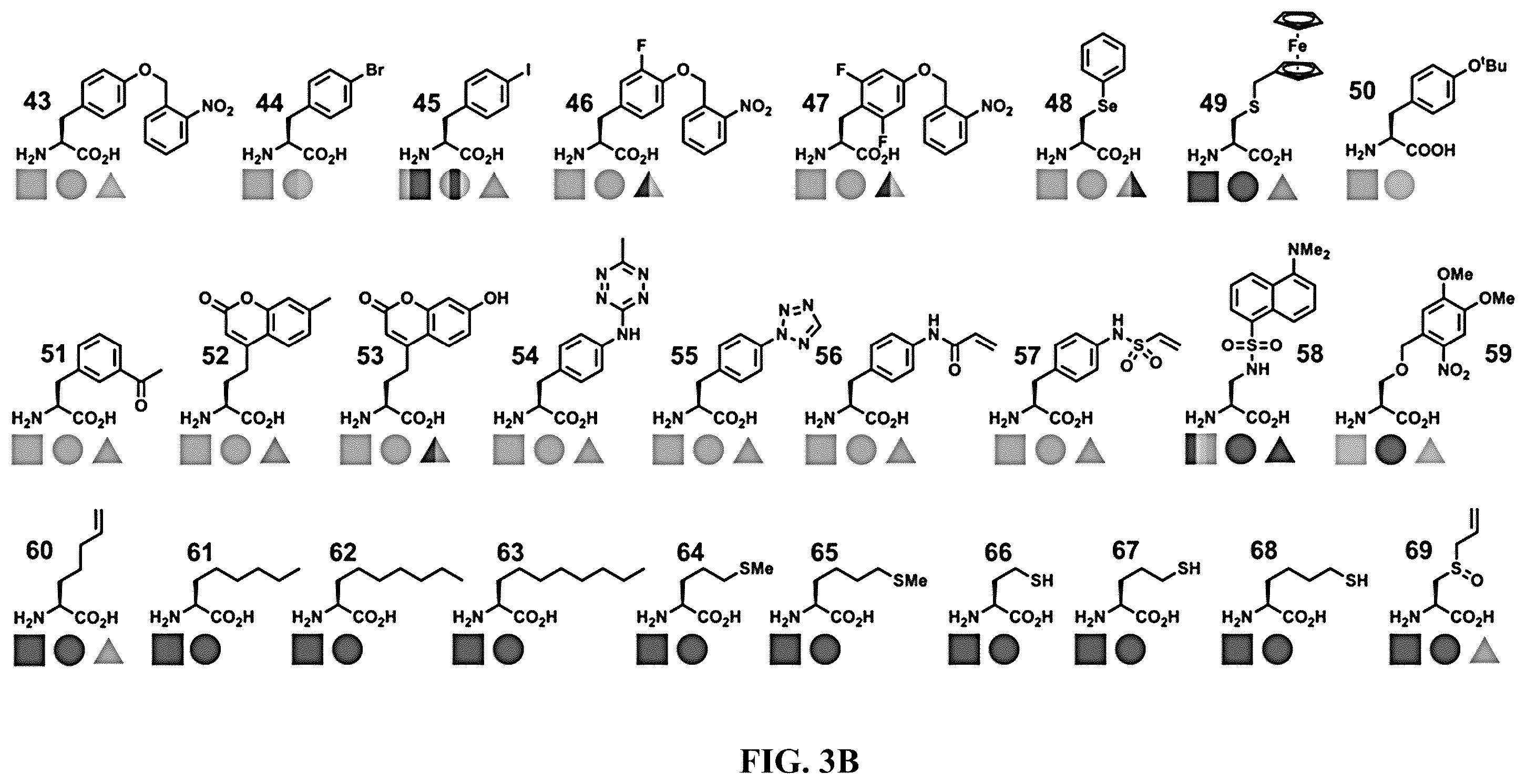 Patent US12377131 Figure 5 – Cytokine conjugates for the treatment of autoimmune diseases