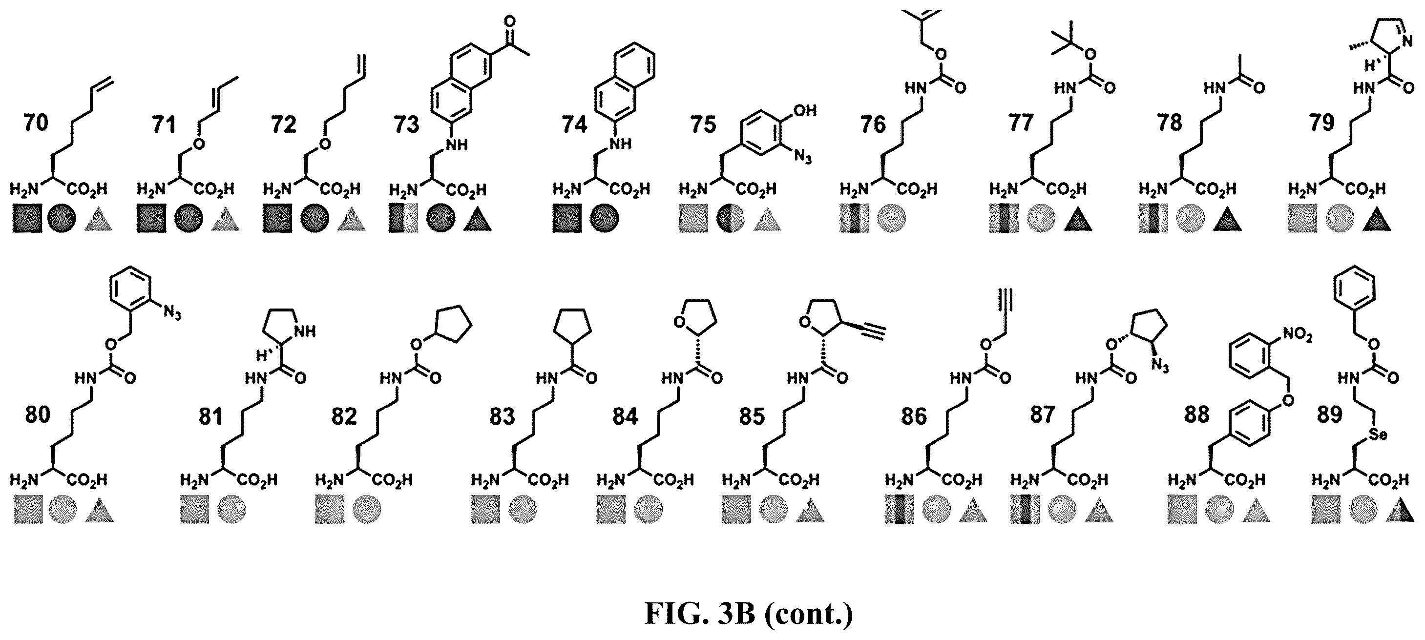 Patent US12377131 Figure 6 – Cytokine conjugates for the treatment of autoimmune diseases