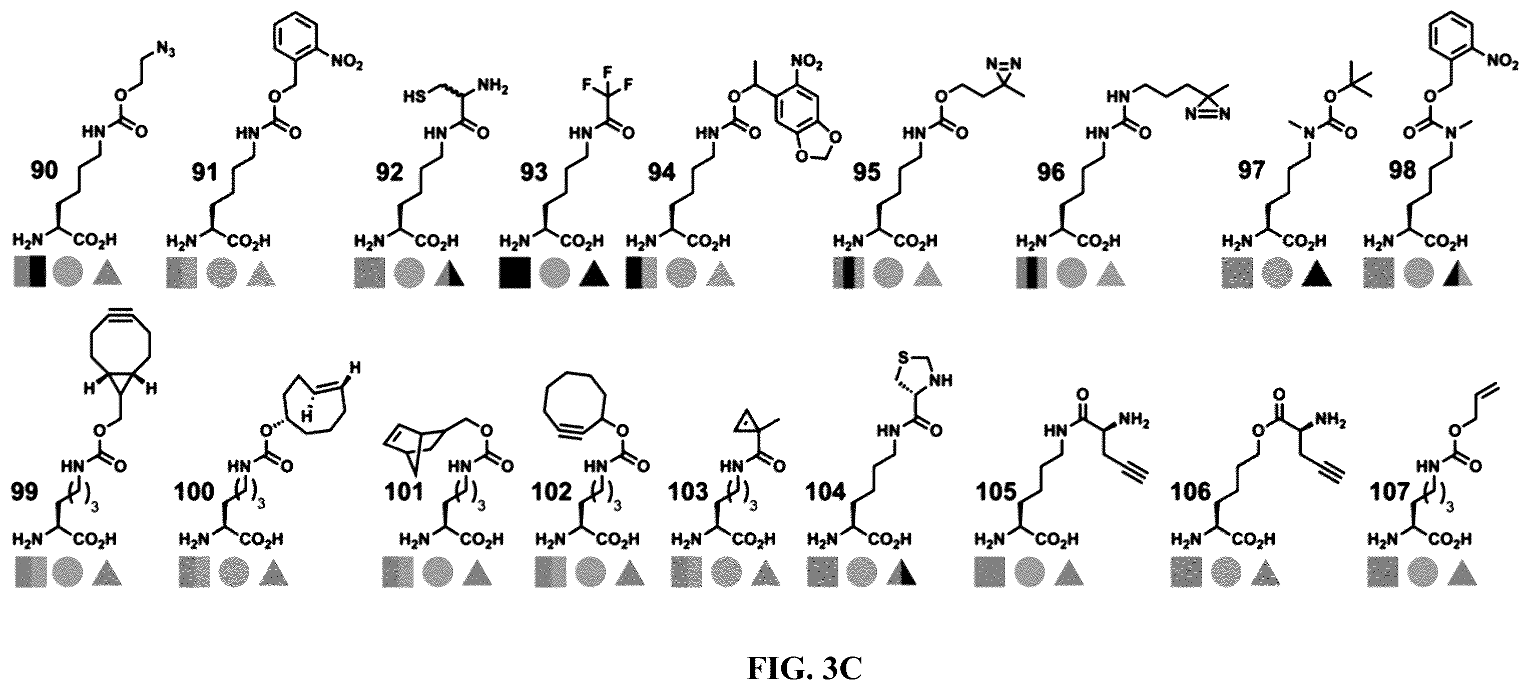 Patent US12377131 Figure 7 – Cytokine conjugates for the treatment of autoimmune diseases