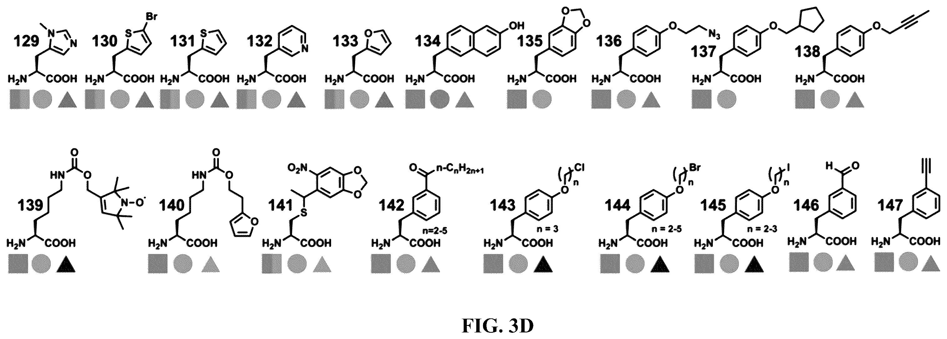 Patent US12377131 Figure 9 – Cytokine conjugates for the treatment of autoimmune diseases