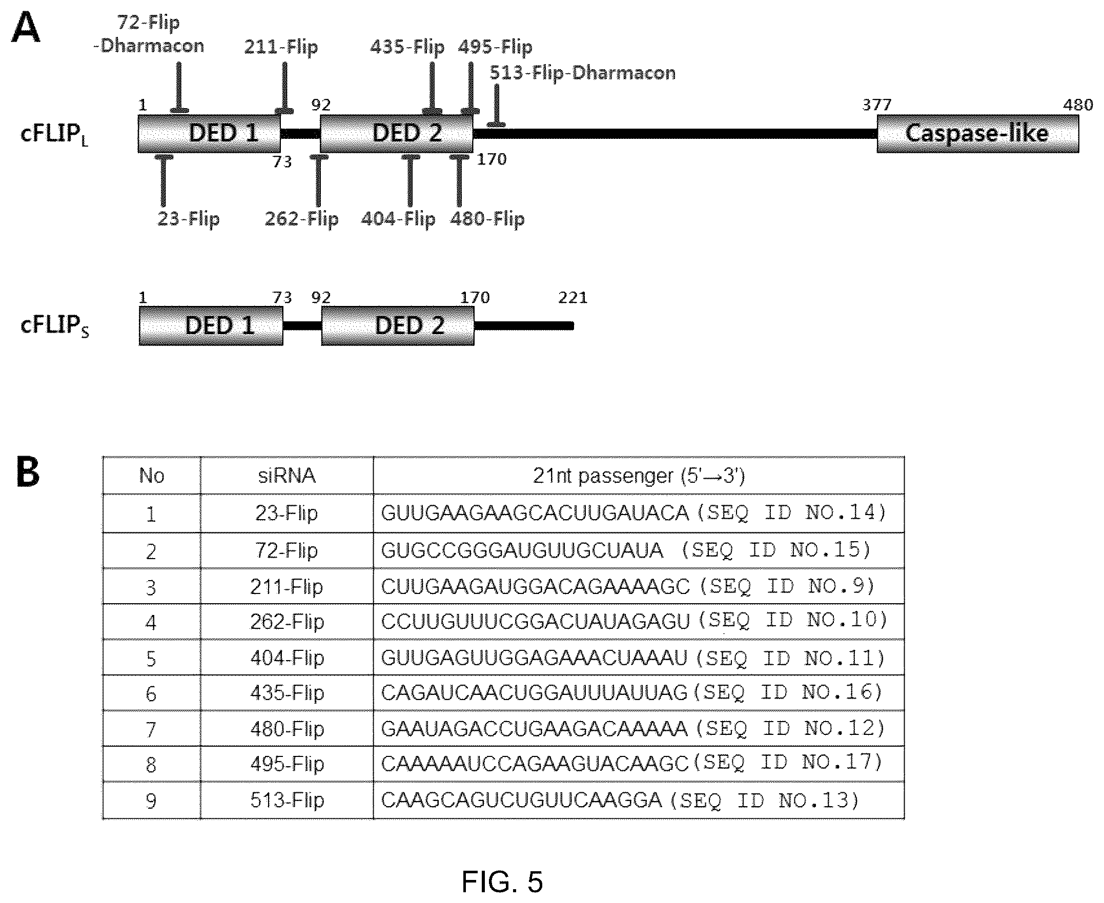 Patent US12377132 Figure 5 – Method for treating or sensitizing interferon beta resistant cancer comprising cFLIP siRNA