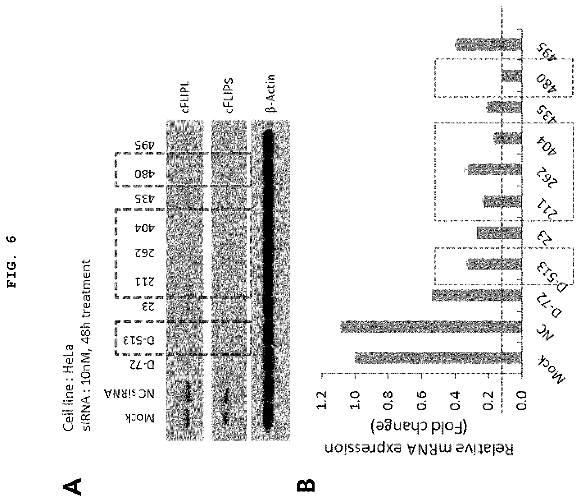 Patent US12377132 Figure 6 – Method for treating or sensitizing interferon beta resistant cancer comprising cFLIP siRNA
