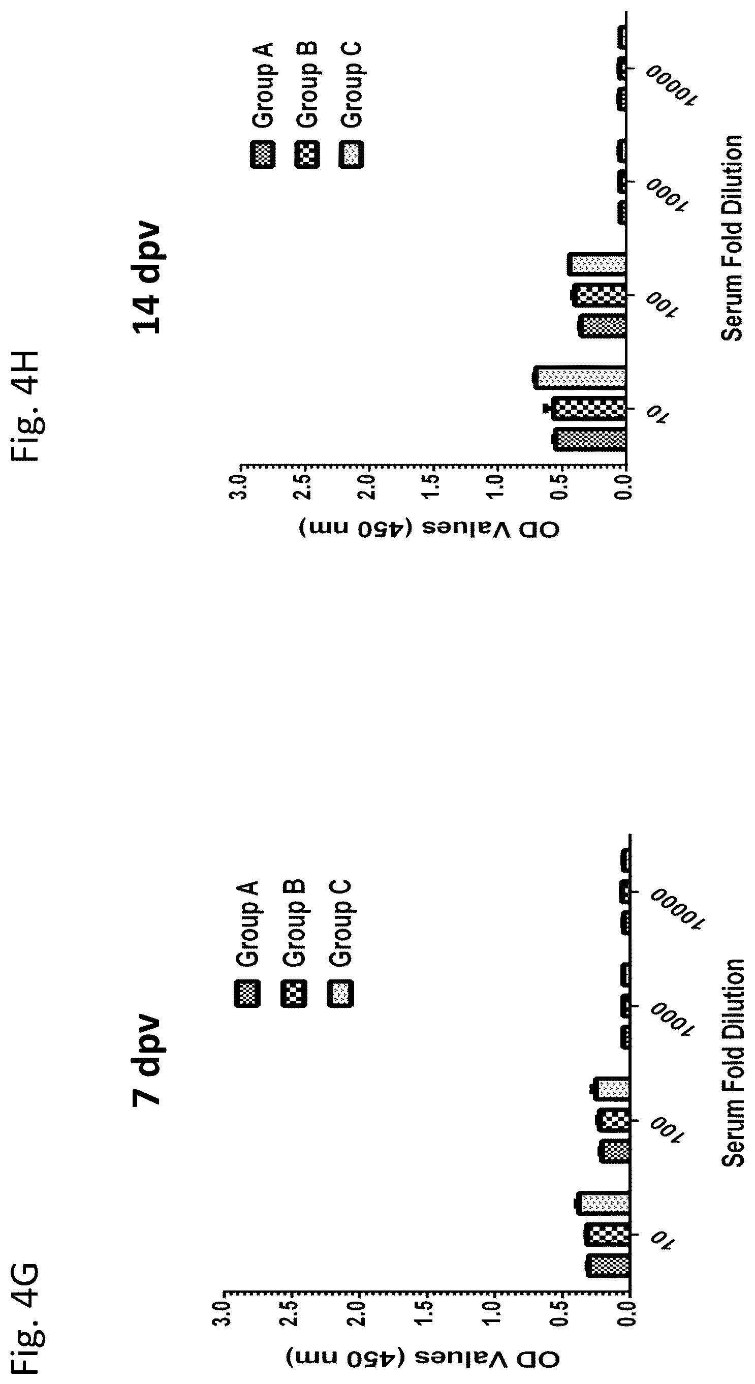 Patent US12377139 Figure 9 – Ehrlichia ruminantium immunogenic compositions and methods of using thereof