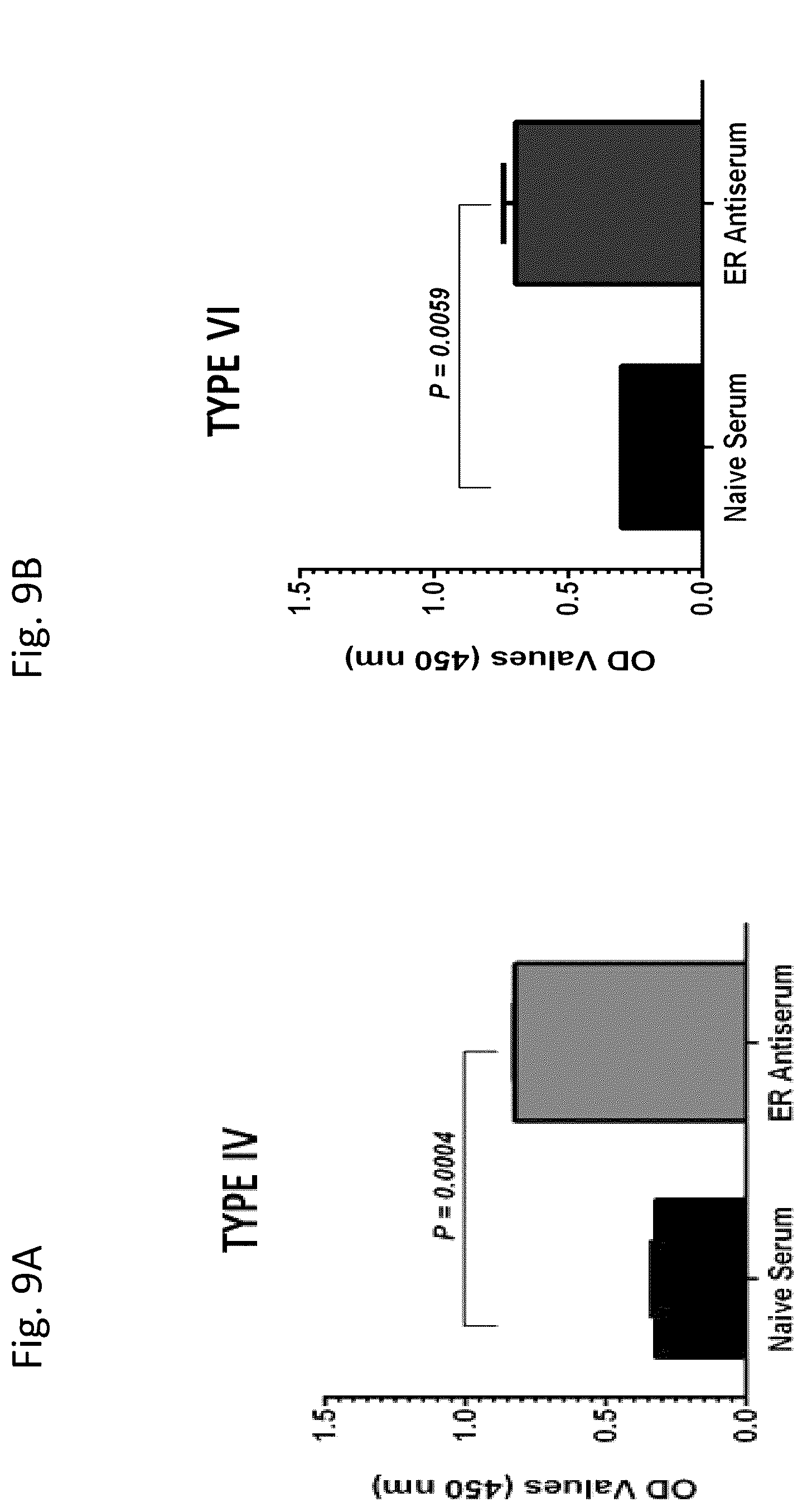 Patent US12377139 Figure 17 – Ehrlichia ruminantium immunogenic compositions and methods of using thereof