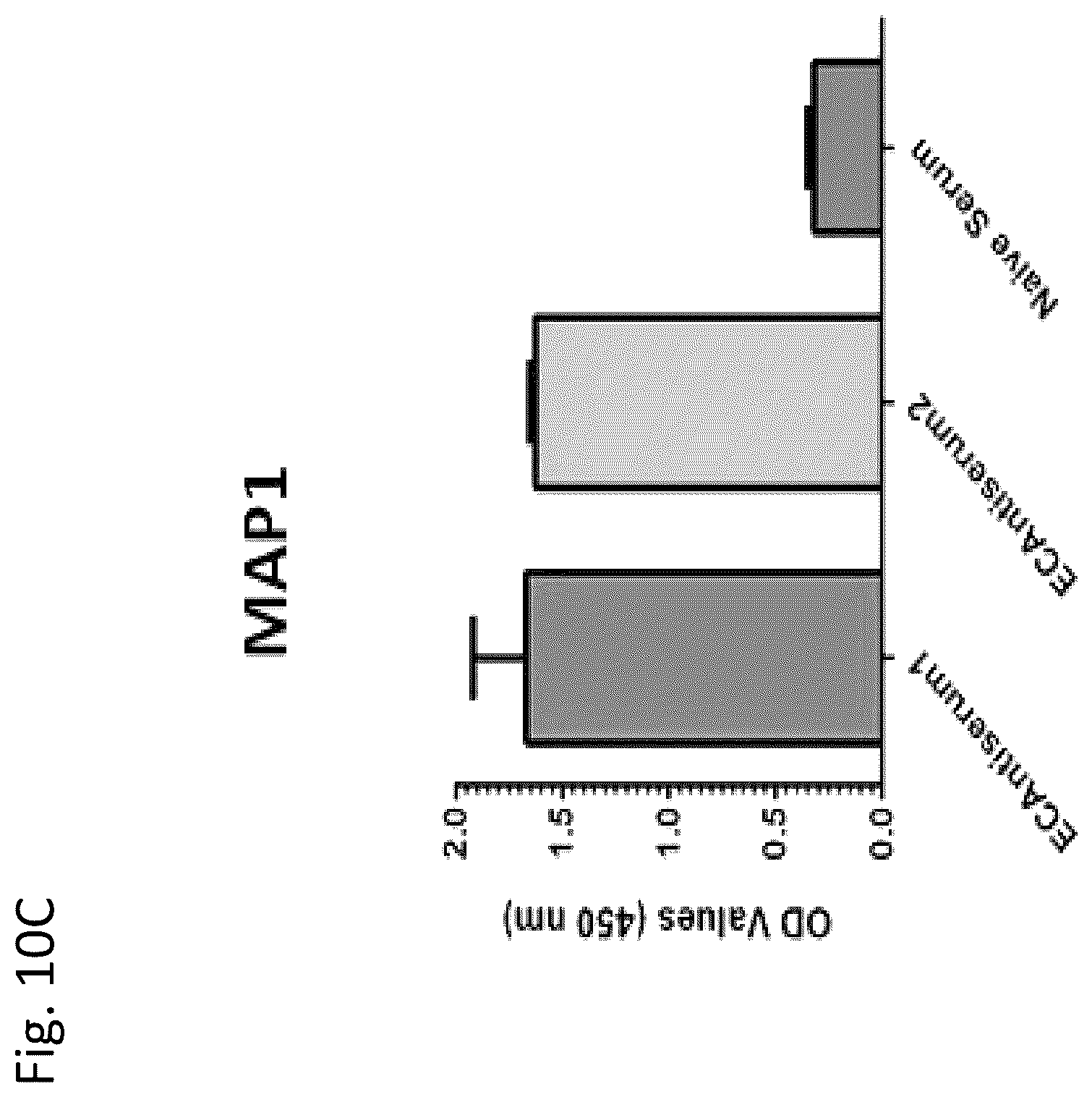 Patent US12377139 Figure 20 – Ehrlichia ruminantium immunogenic compositions and methods of using thereof