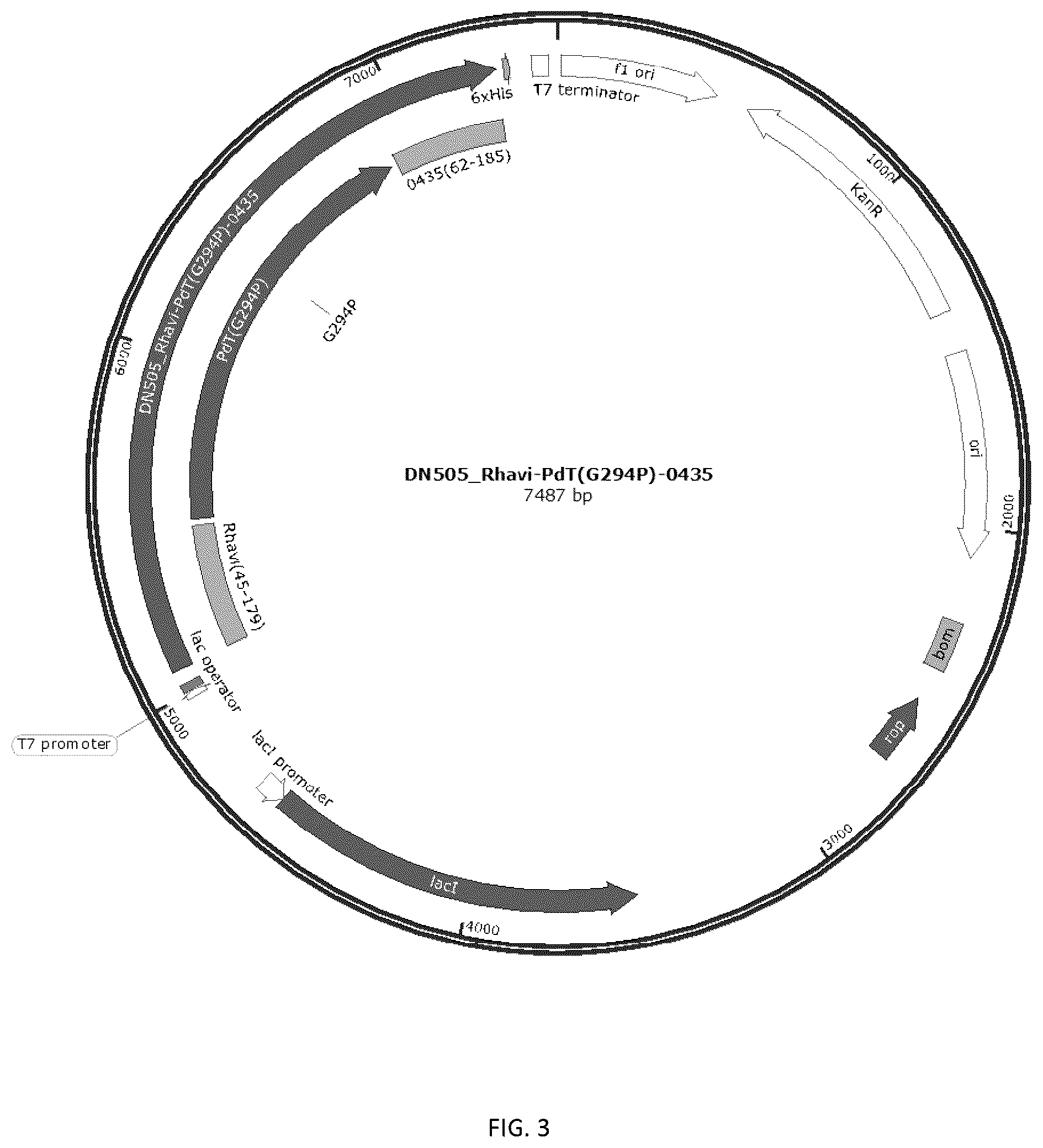 Patent US12377140 Figure 3 – Multivalent pneumococcal vaccines