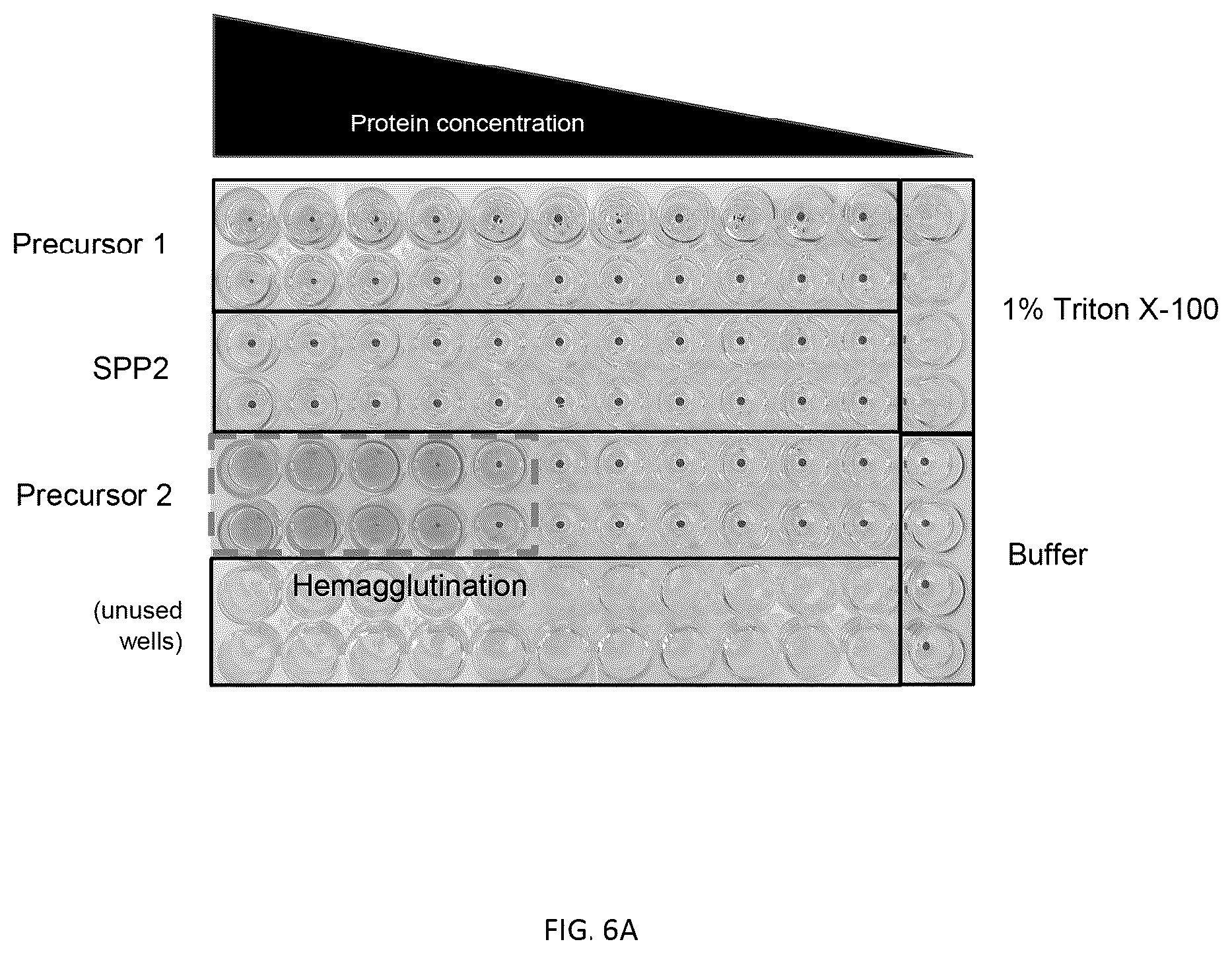 Patent US12377140 Figure 7 – Multivalent pneumococcal vaccines