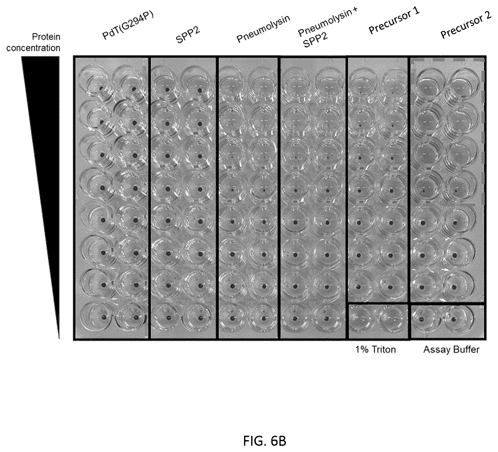 Patent US12377140 Figure 8 – Multivalent pneumococcal vaccines