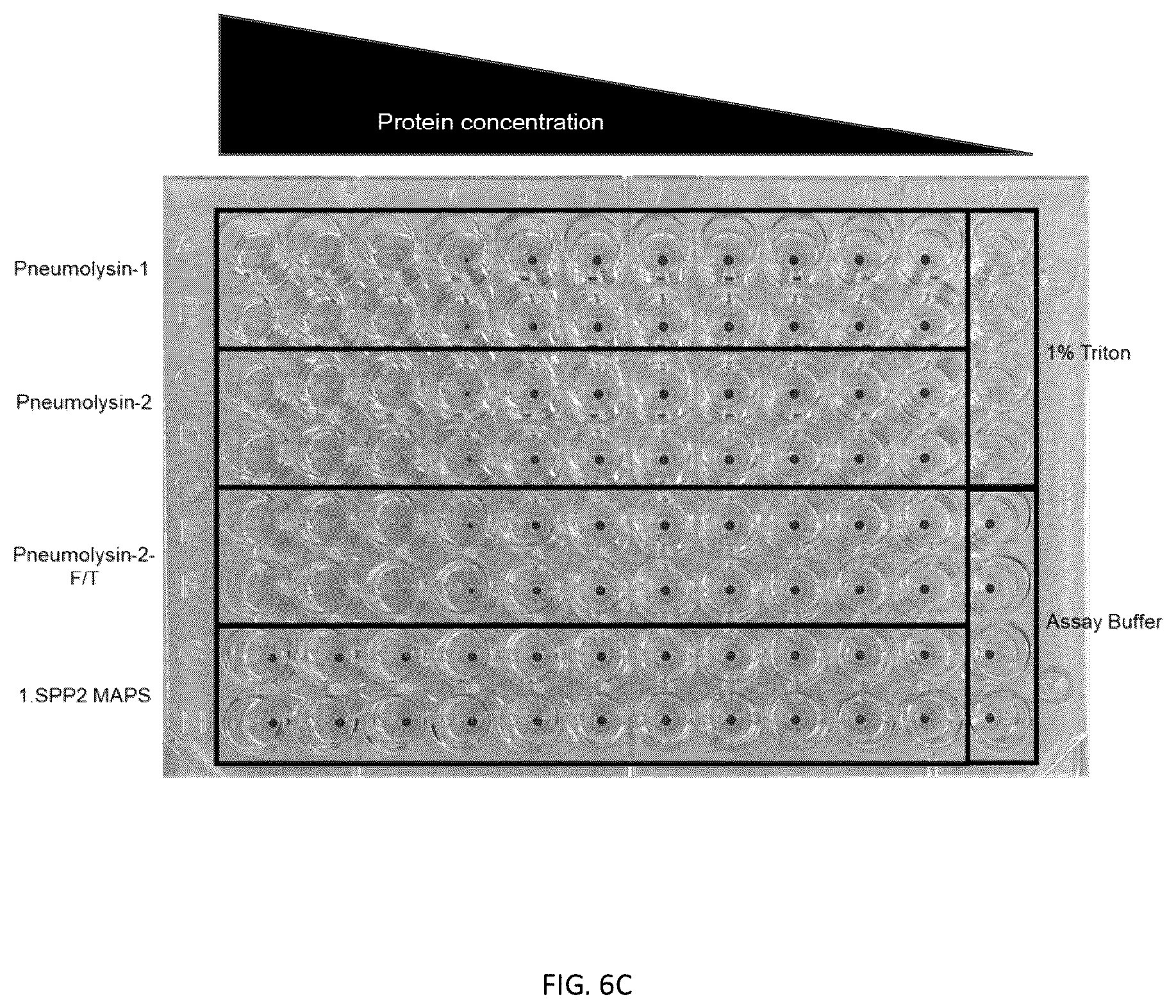 Patent US12377140 Figure 9 – Multivalent pneumococcal vaccines