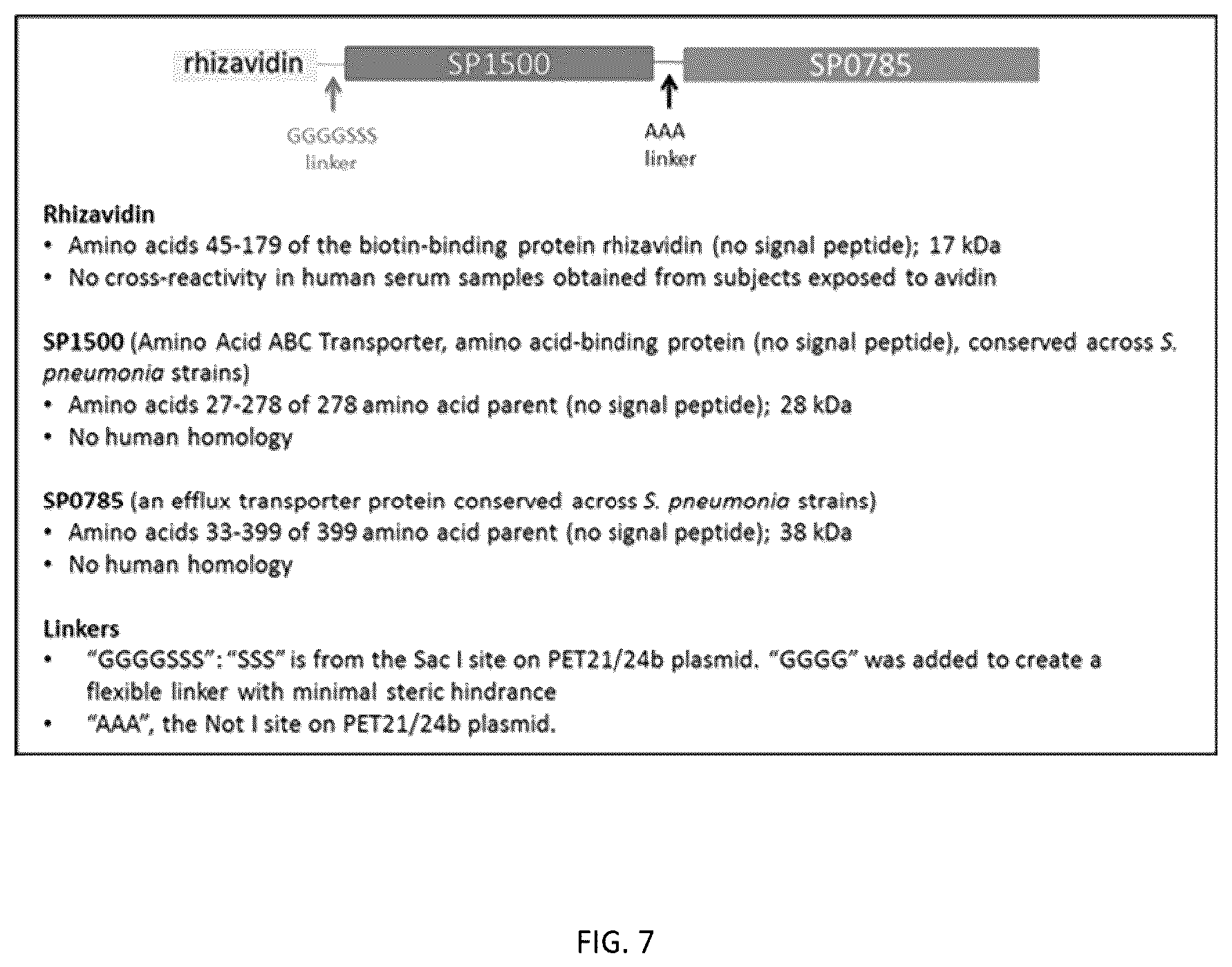 Patent US12377140 Figure 10 – Multivalent pneumococcal vaccines
