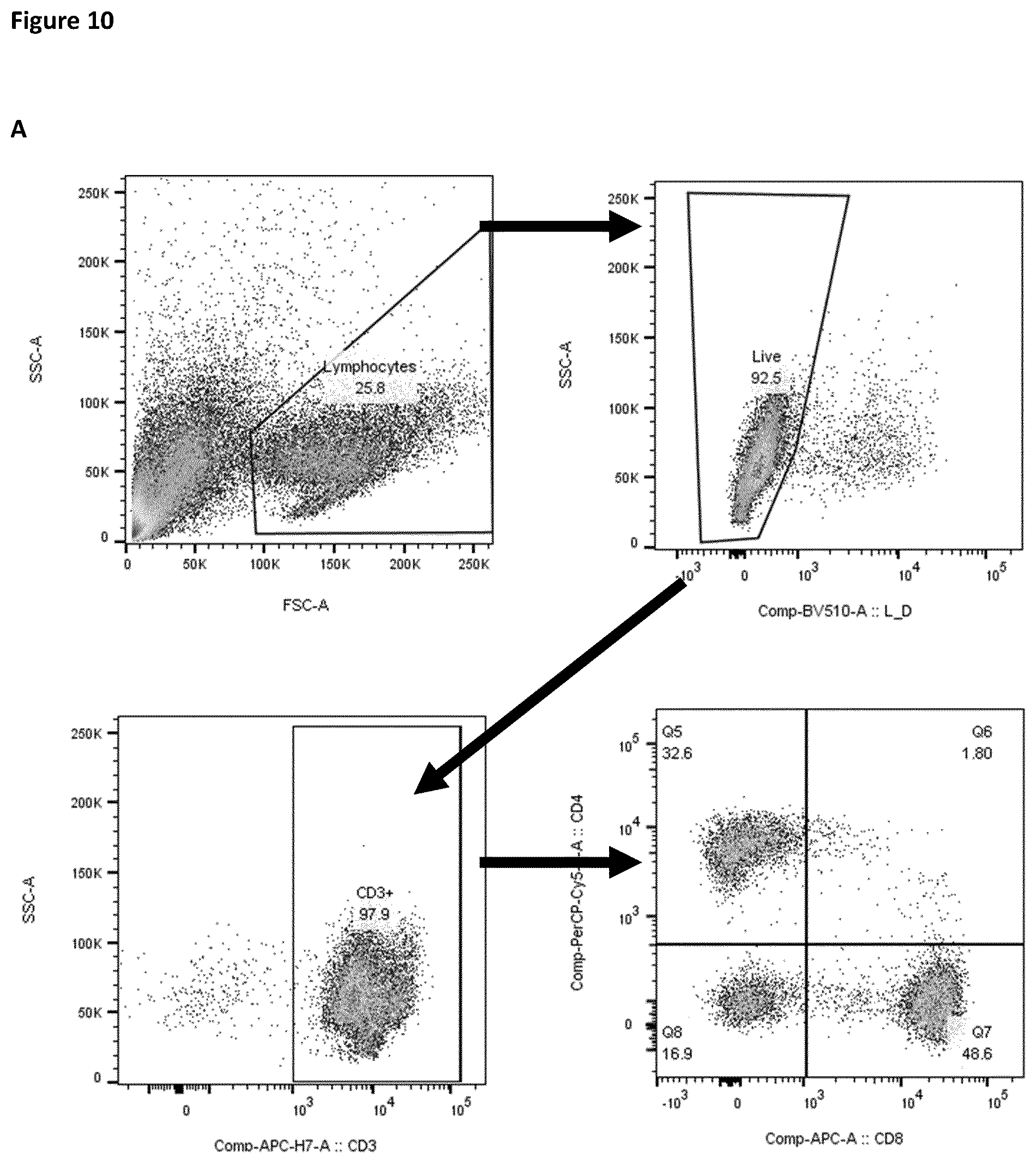 Patent US12377141 Figure 11 – Method for the expansion of HPV immunogen specific T-cells