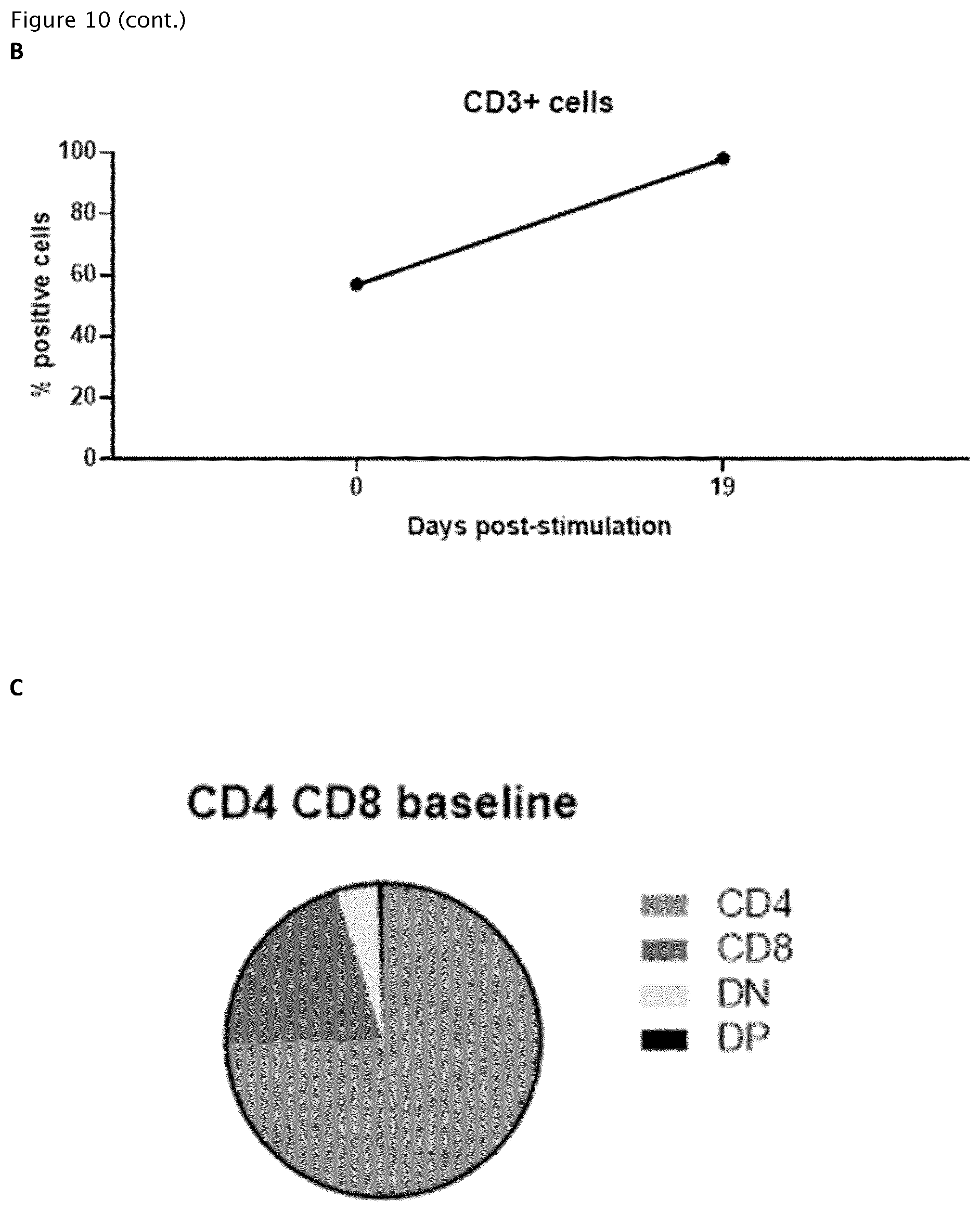 Patent US12377141 Figure 12 – Method for the expansion of HPV immunogen specific T-cells