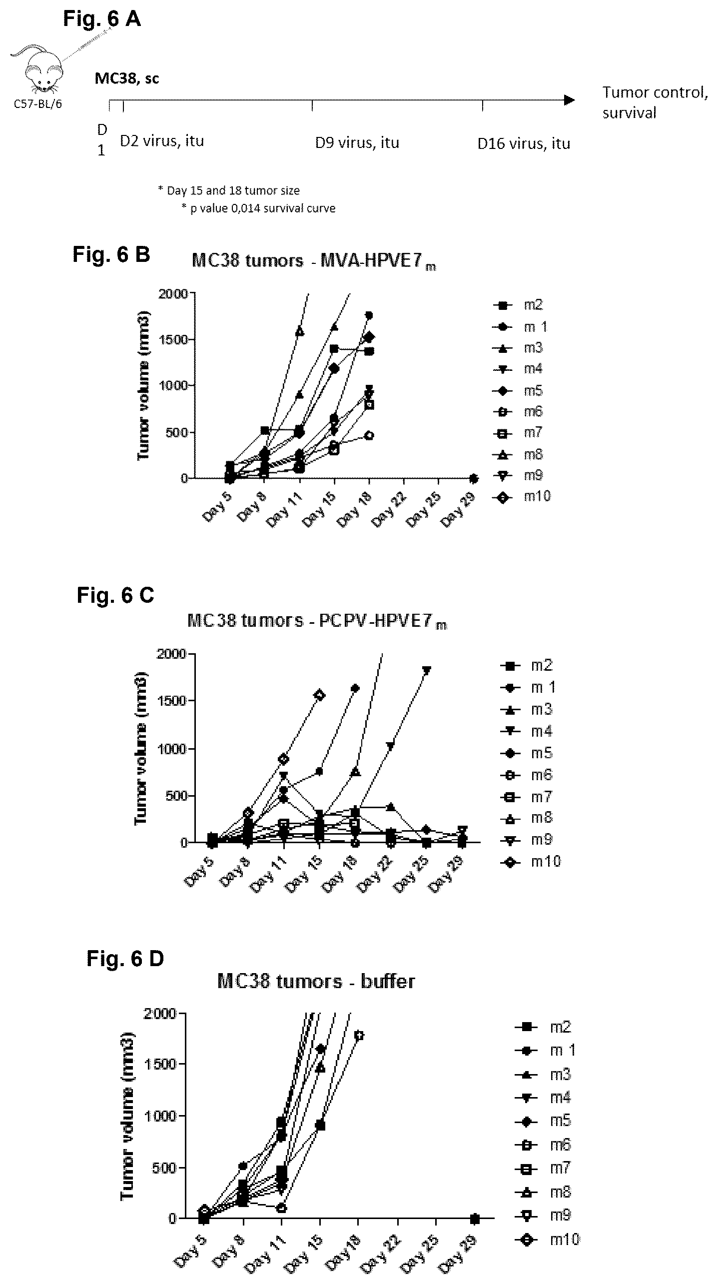 Patent US12377142 Figure 6 – Recombinant pseudocowpoxvirus