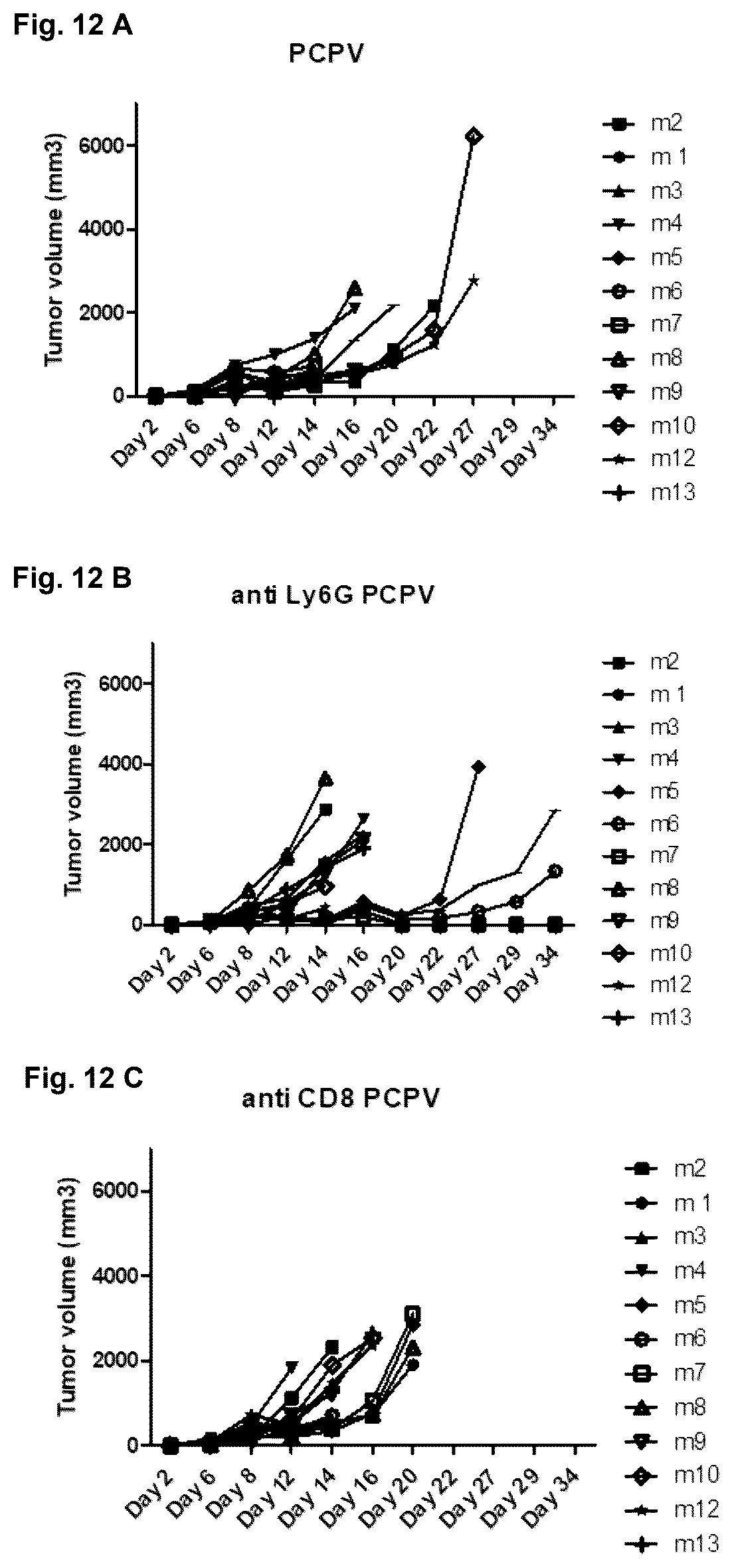 Patent US12377142 Figure 14 – Recombinant pseudocowpoxvirus