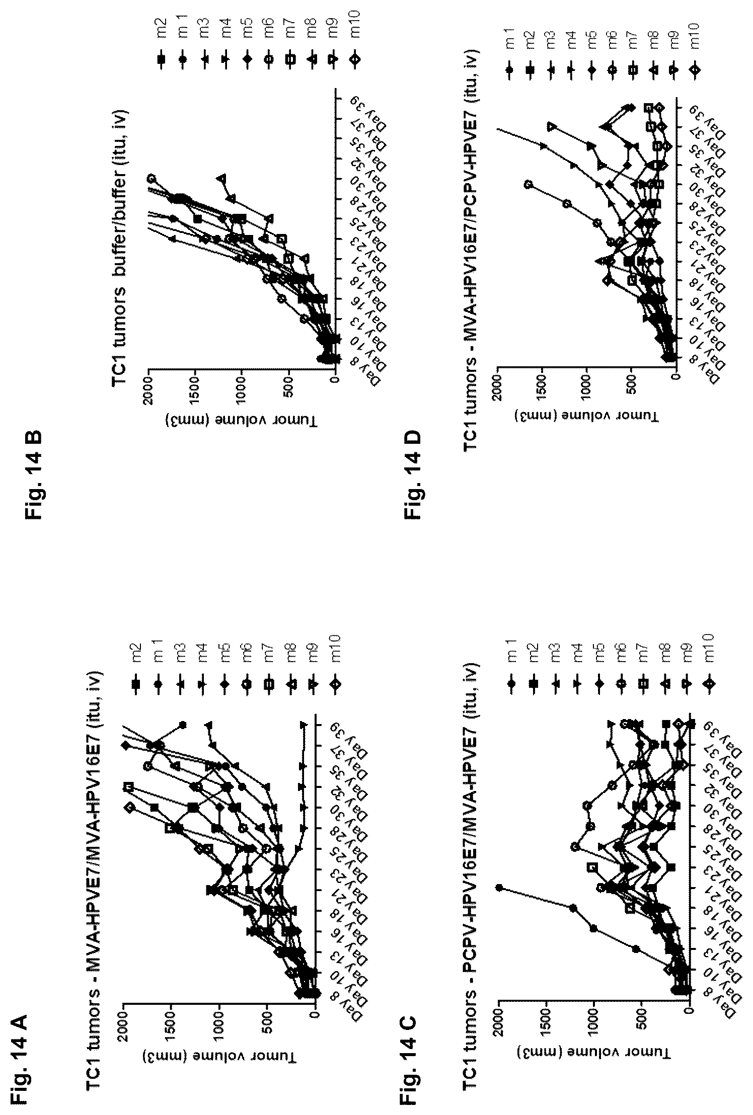 Patent US12377142 Figure 17 – Recombinant pseudocowpoxvirus