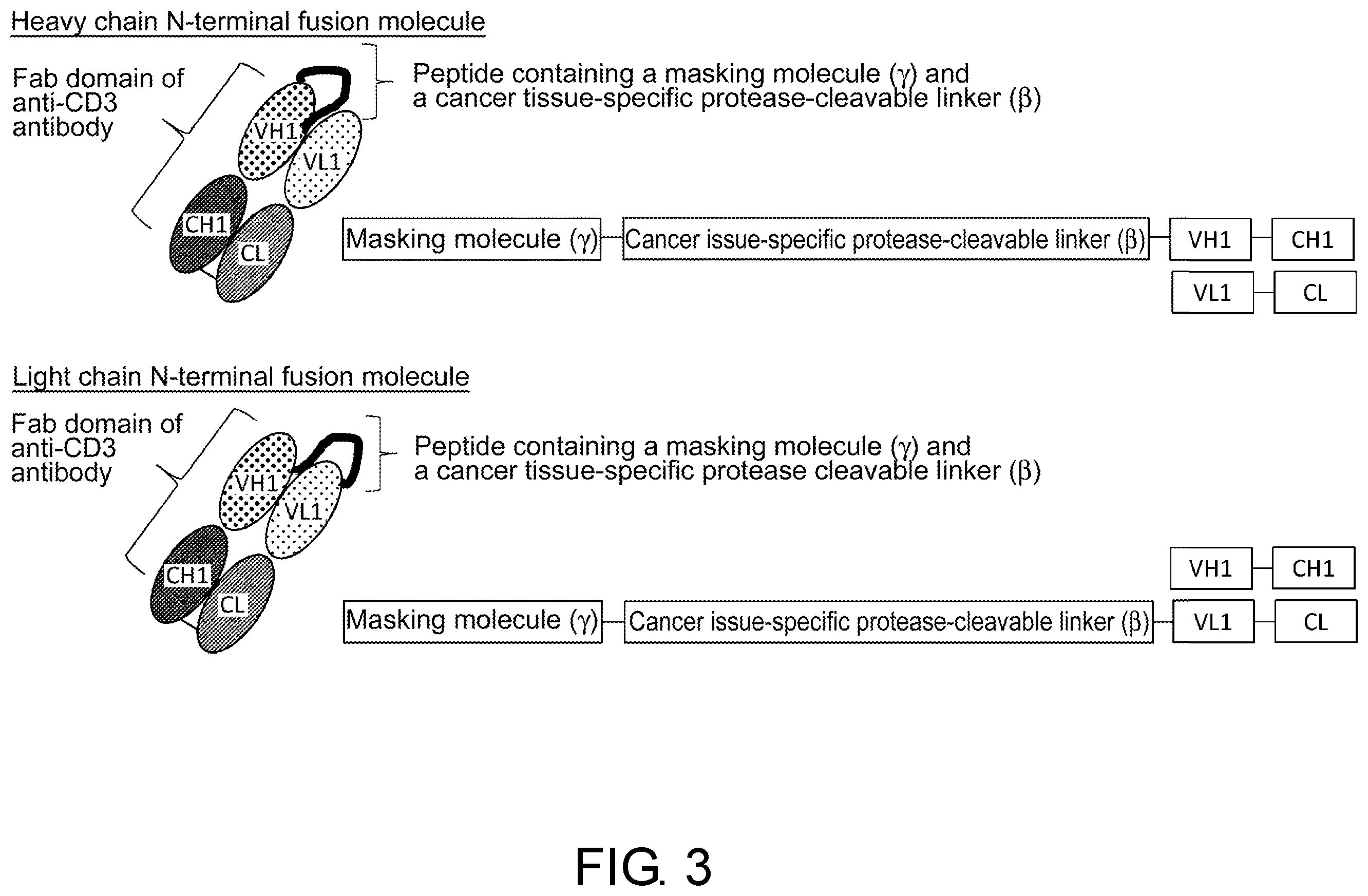 Patent US12377143 Figure 3 – Multiple antigen binding molecular fusion, pharmaceutical composition, method for identifying linear epitope, and method for preparing multiple antigen binding molecular fusion