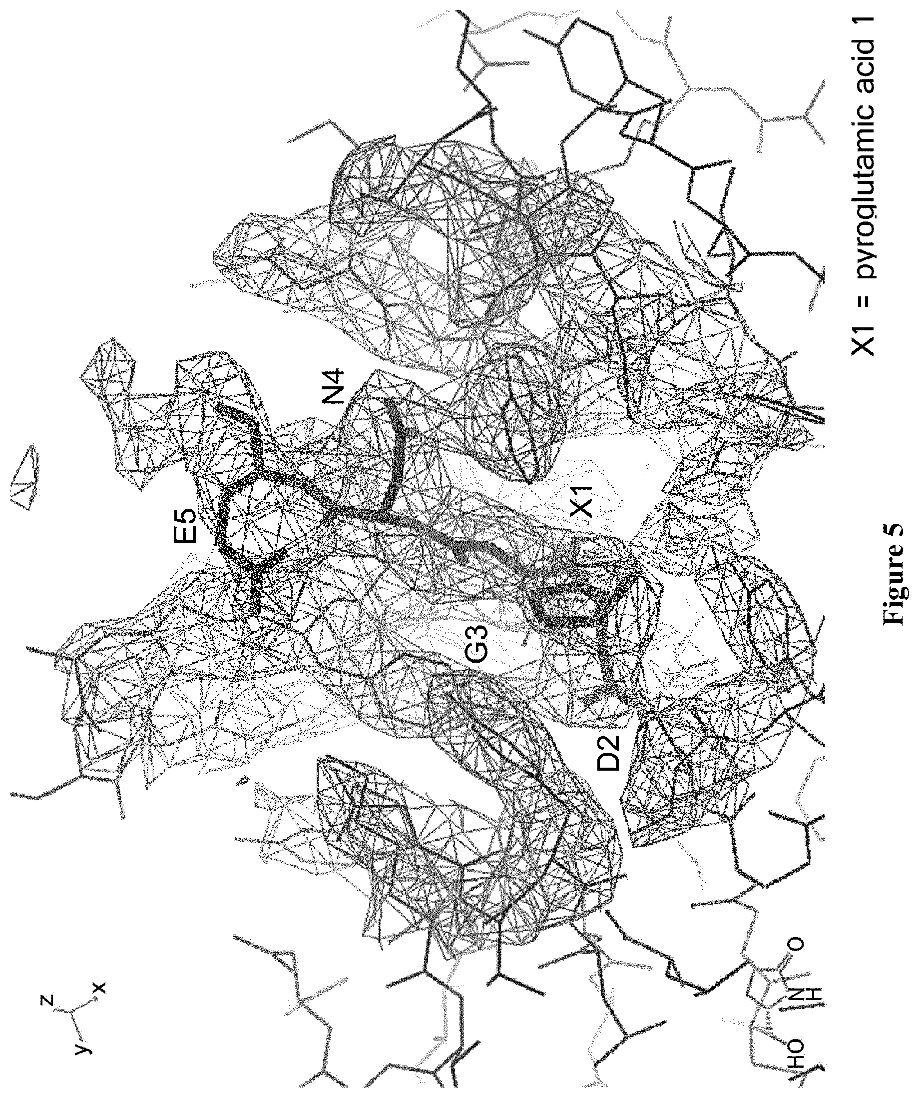 Patent US12377143 Figure 5 – Multiple antigen binding molecular fusion, pharmaceutical composition, method for identifying linear epitope, and method for preparing multiple antigen binding molecular fusion