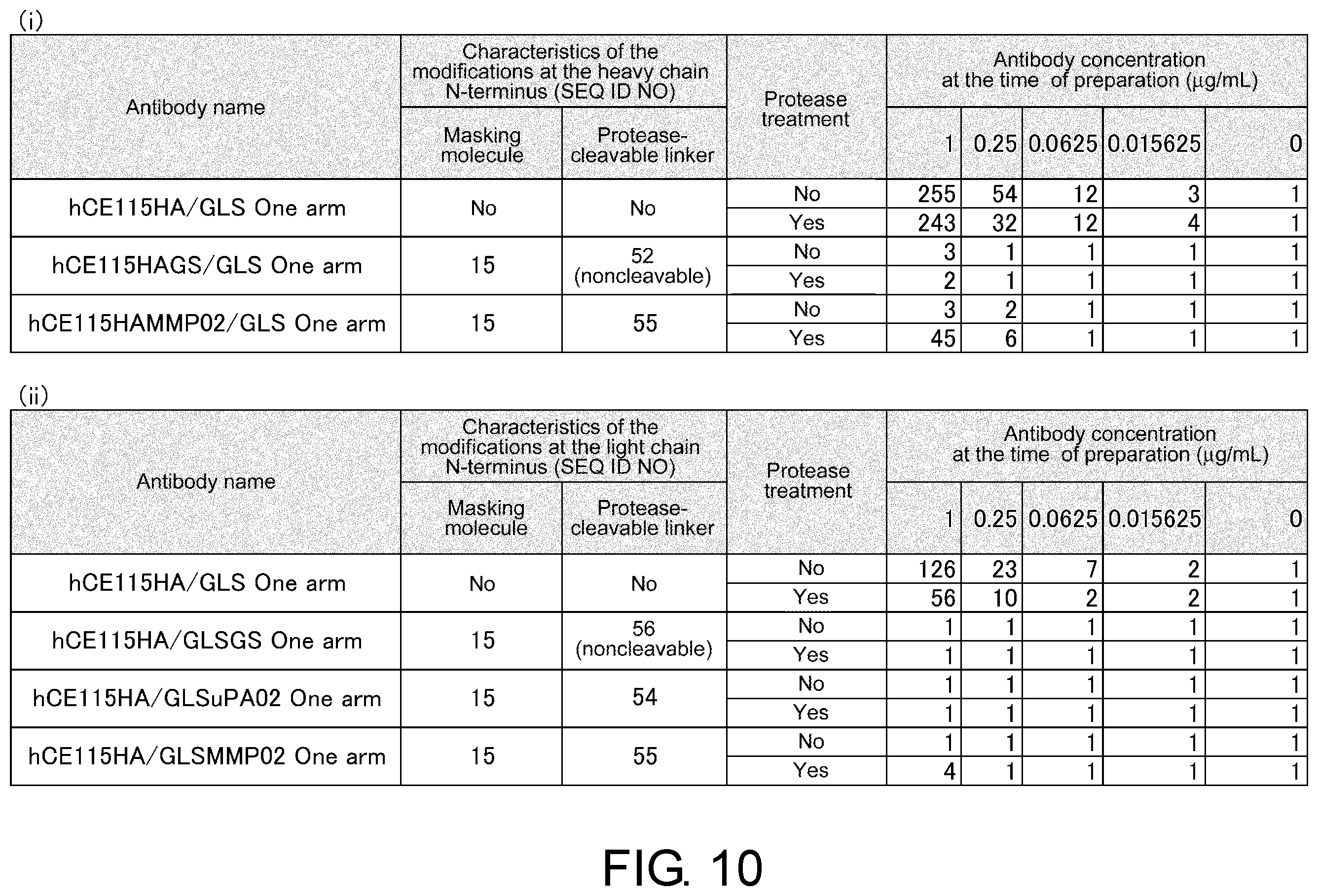 Patent US12377143 Figure 11 – Multiple antigen binding molecular fusion, pharmaceutical composition, method for identifying linear epitope, and method for preparing multiple antigen binding molecular fusion