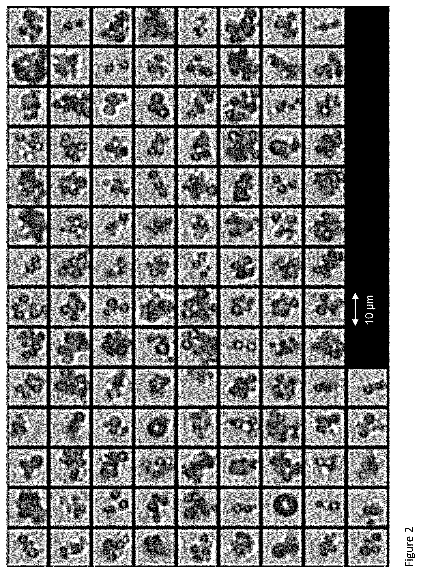 Patent US12377146 Figure 2 – Method of using high-frequency sound waves