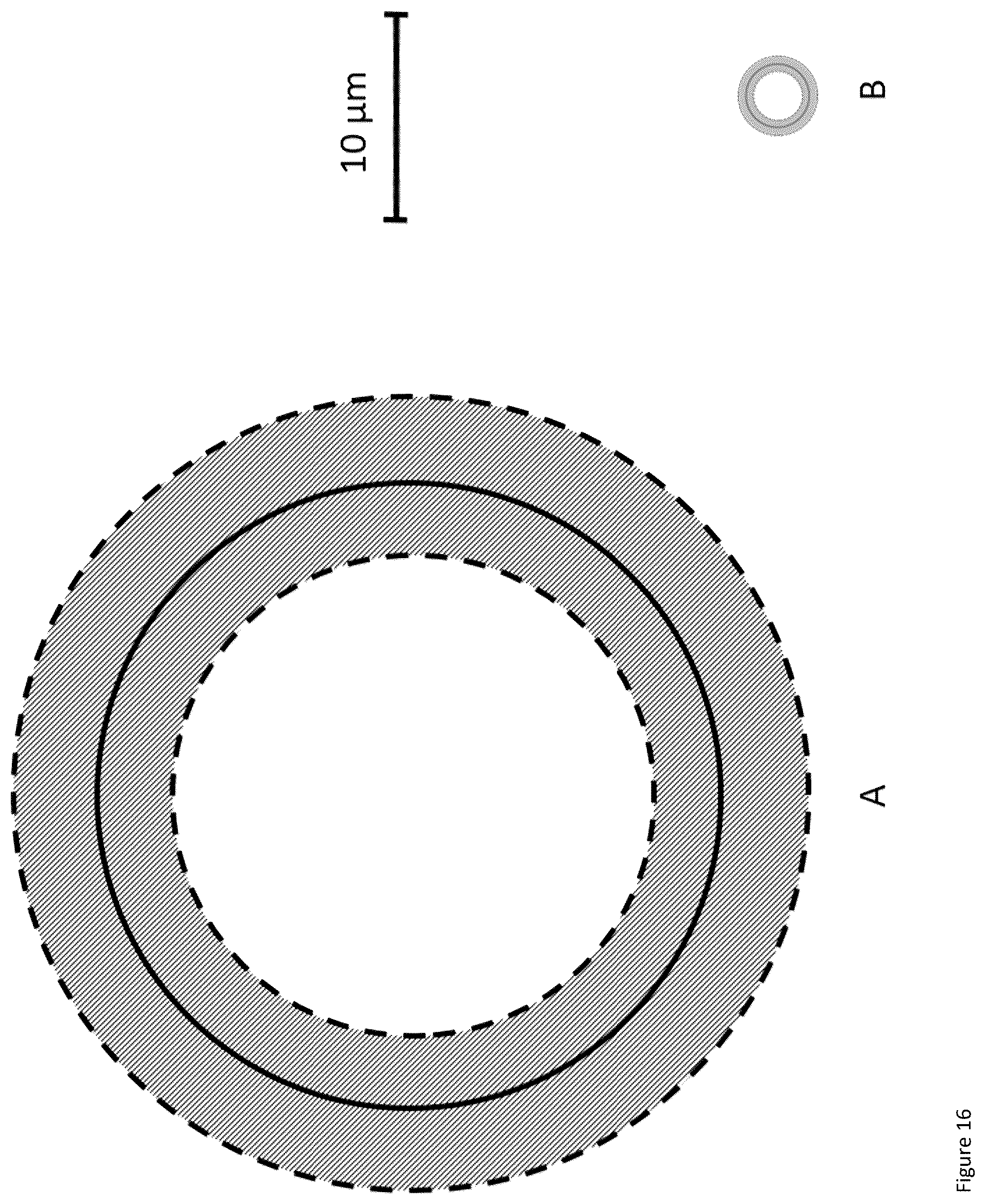 Patent US12377146 Figure 16 – Method of using high-frequency sound waves