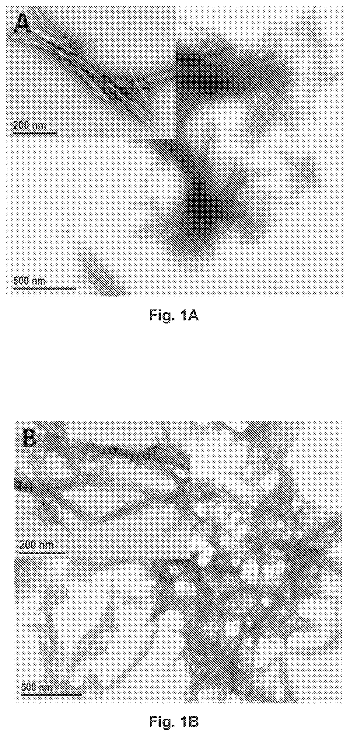 Patent US12377149 — Injectable thermoresponsive hydrogels as a combinatory modality for controlled drug delivery, biomaterial implant and 3D printing bioink — Figure 1