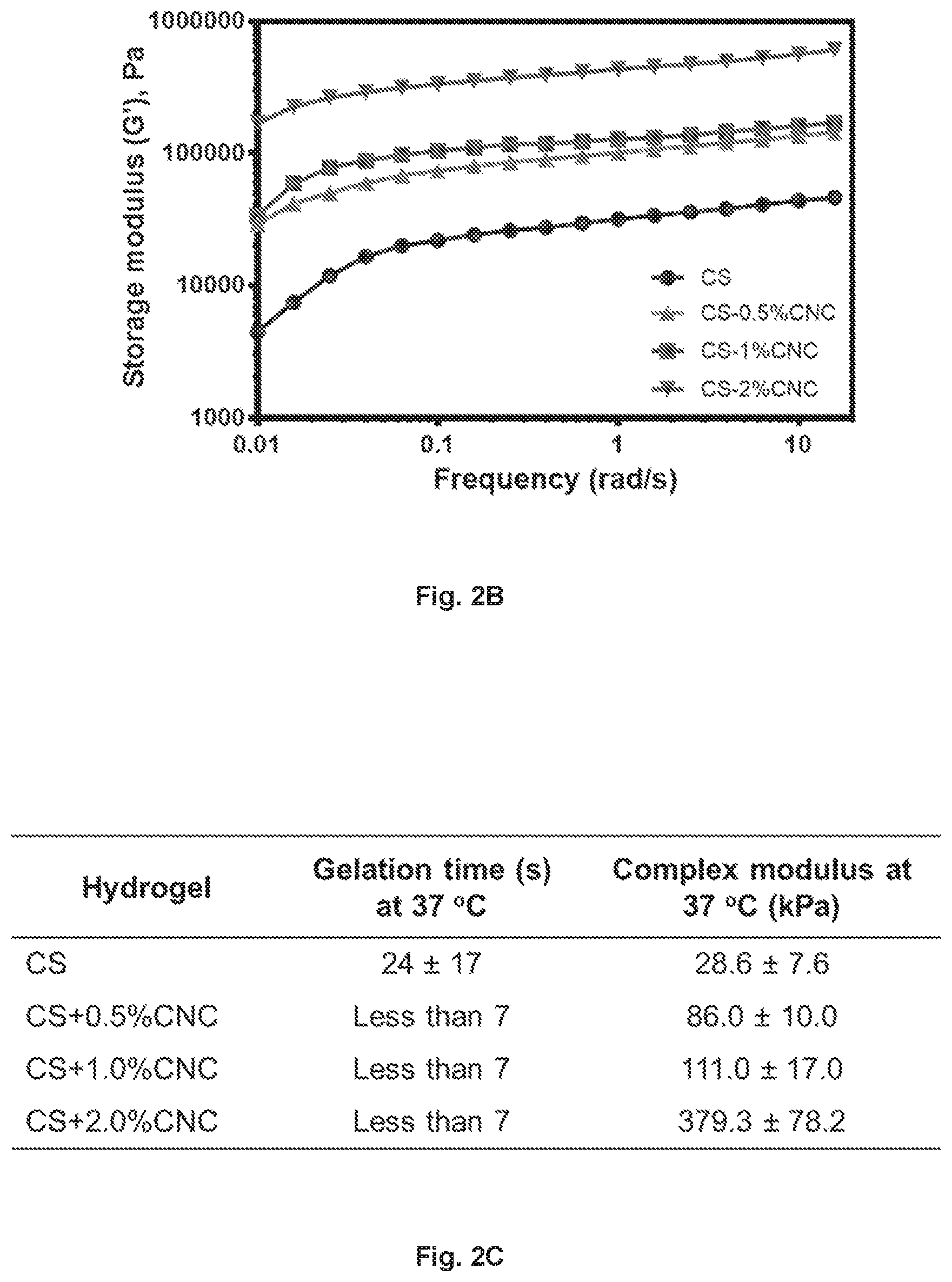 Patent US12377149 Figure 3 – Injectable thermoresponsive hydrogels as a combinatory modality for controlled drug delivery, biomaterial implant and 3D printing bioink