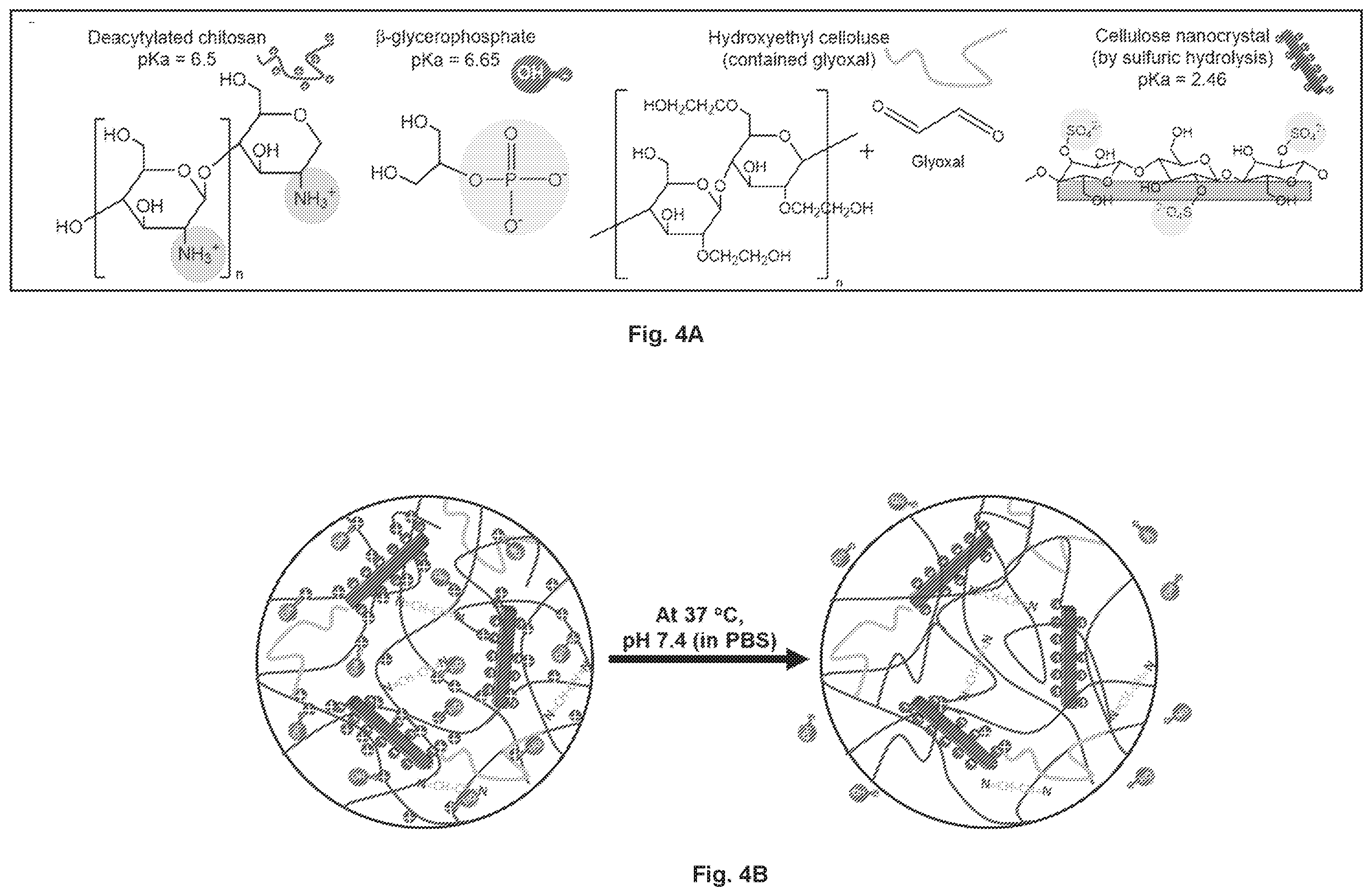 Patent US12377149 Figure 7 – Injectable thermoresponsive hydrogels as a combinatory modality for controlled drug delivery, biomaterial implant and 3D printing bioink