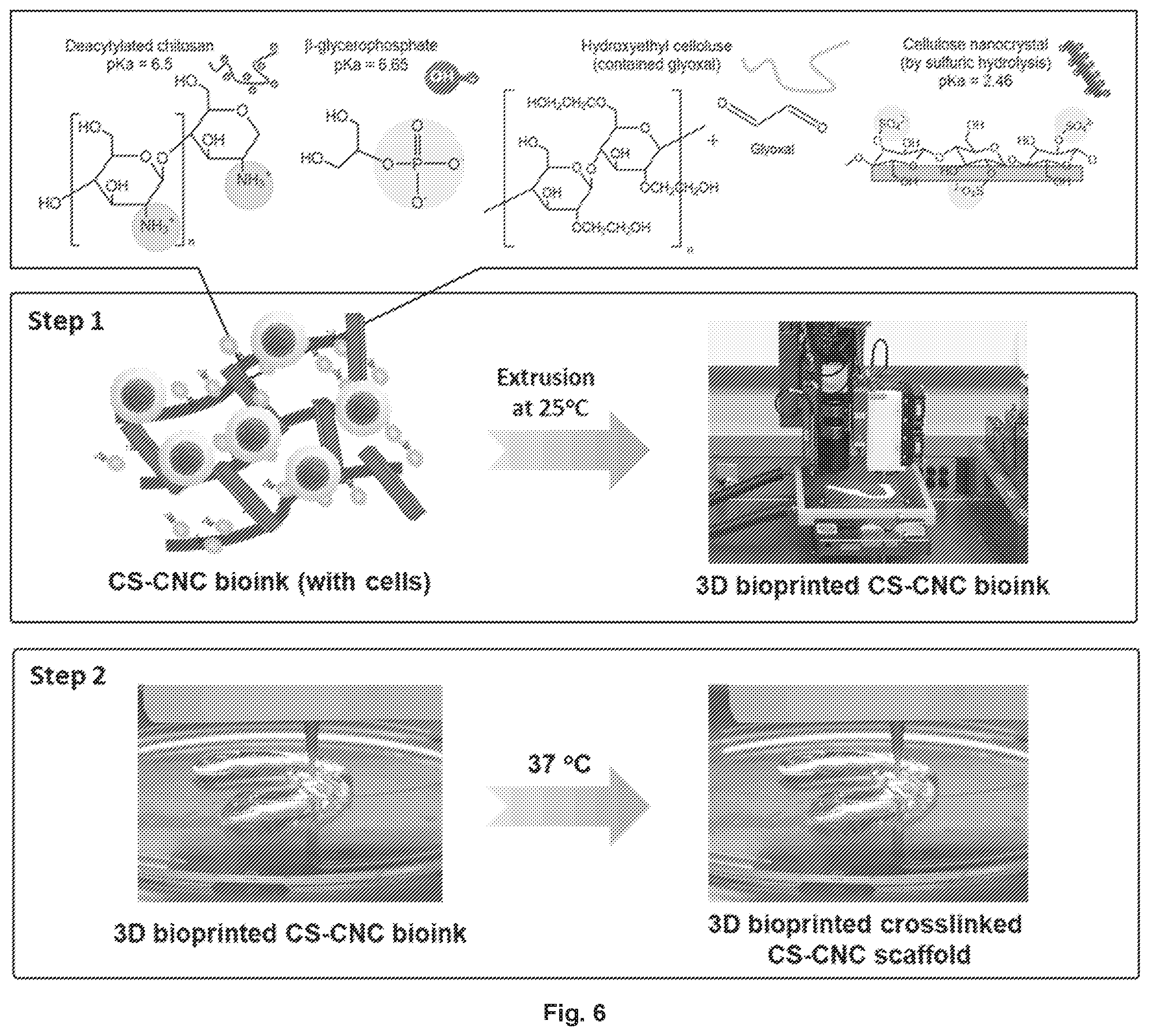 Patent US12377149 Figure 10 – Injectable thermoresponsive hydrogels as a combinatory modality for controlled drug delivery, biomaterial implant and 3D printing bioink
