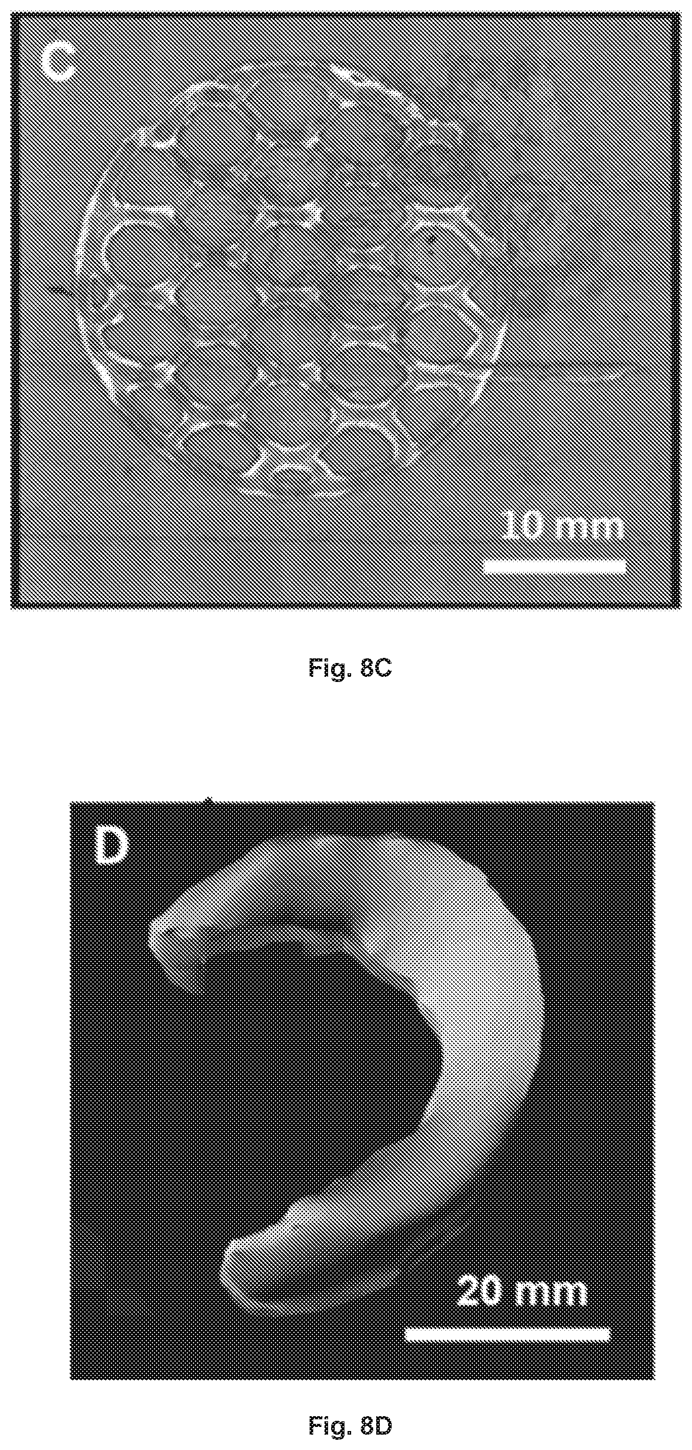 Patent US12377149 Figure 14 – Injectable thermoresponsive hydrogels as a combinatory modality for controlled drug delivery, biomaterial implant and 3D printing bioink
