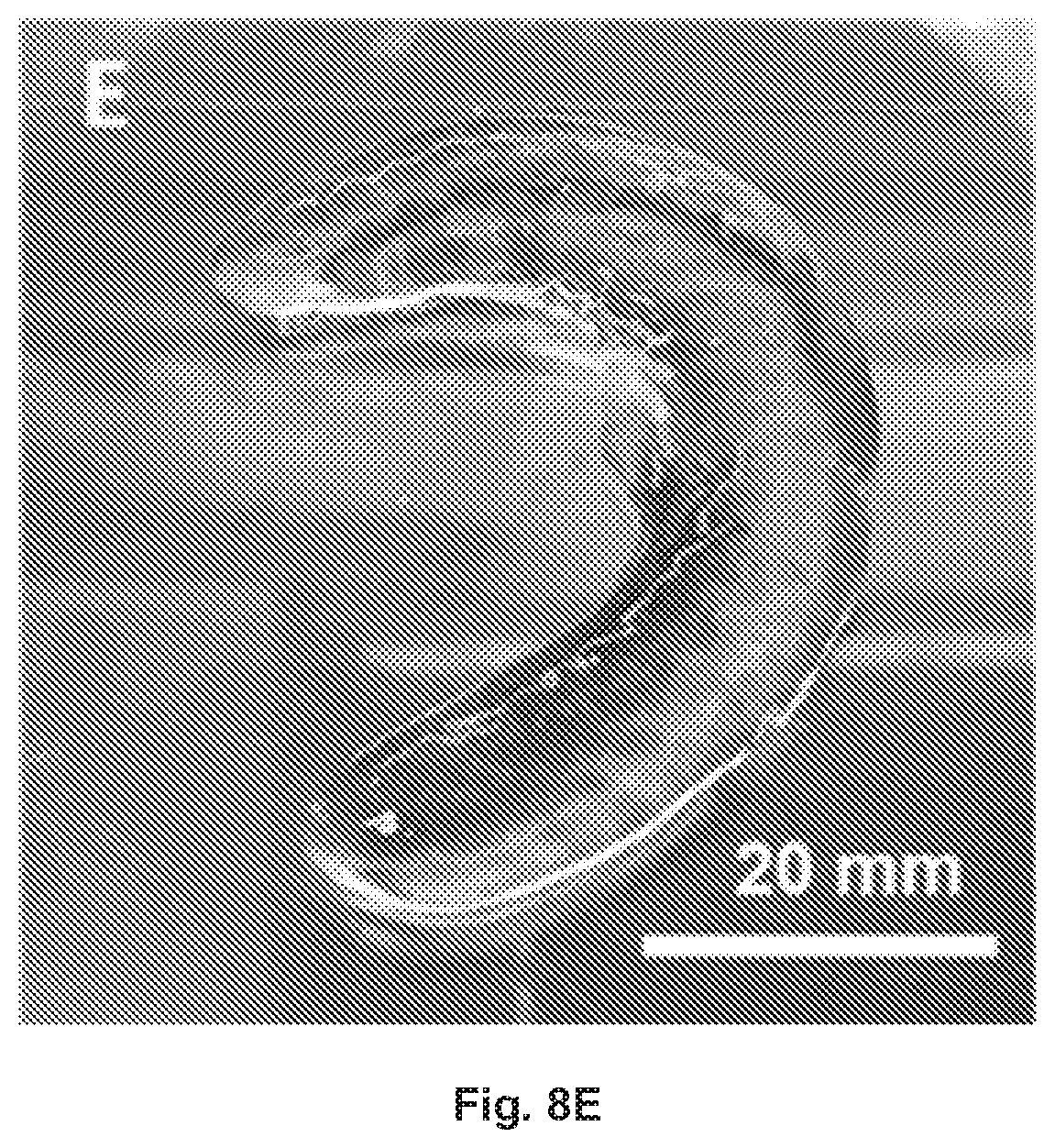 Patent US12377149 Figure 15 – Injectable thermoresponsive hydrogels as a combinatory modality for controlled drug delivery, biomaterial implant and 3D printing bioink