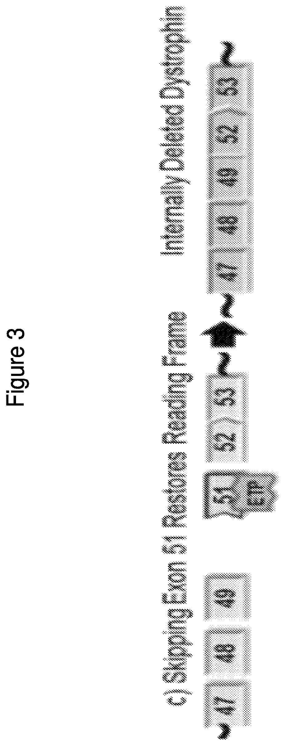Patent US12377150 Figure 3 – Exon skipping oligomer conjugates for muscular dystrophy