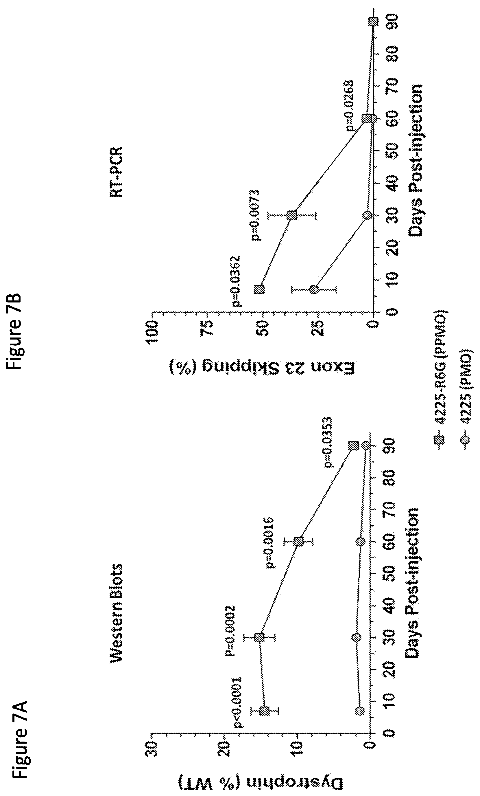 Patent US12377150 Figure 9 – Exon skipping oligomer conjugates for muscular dystrophy