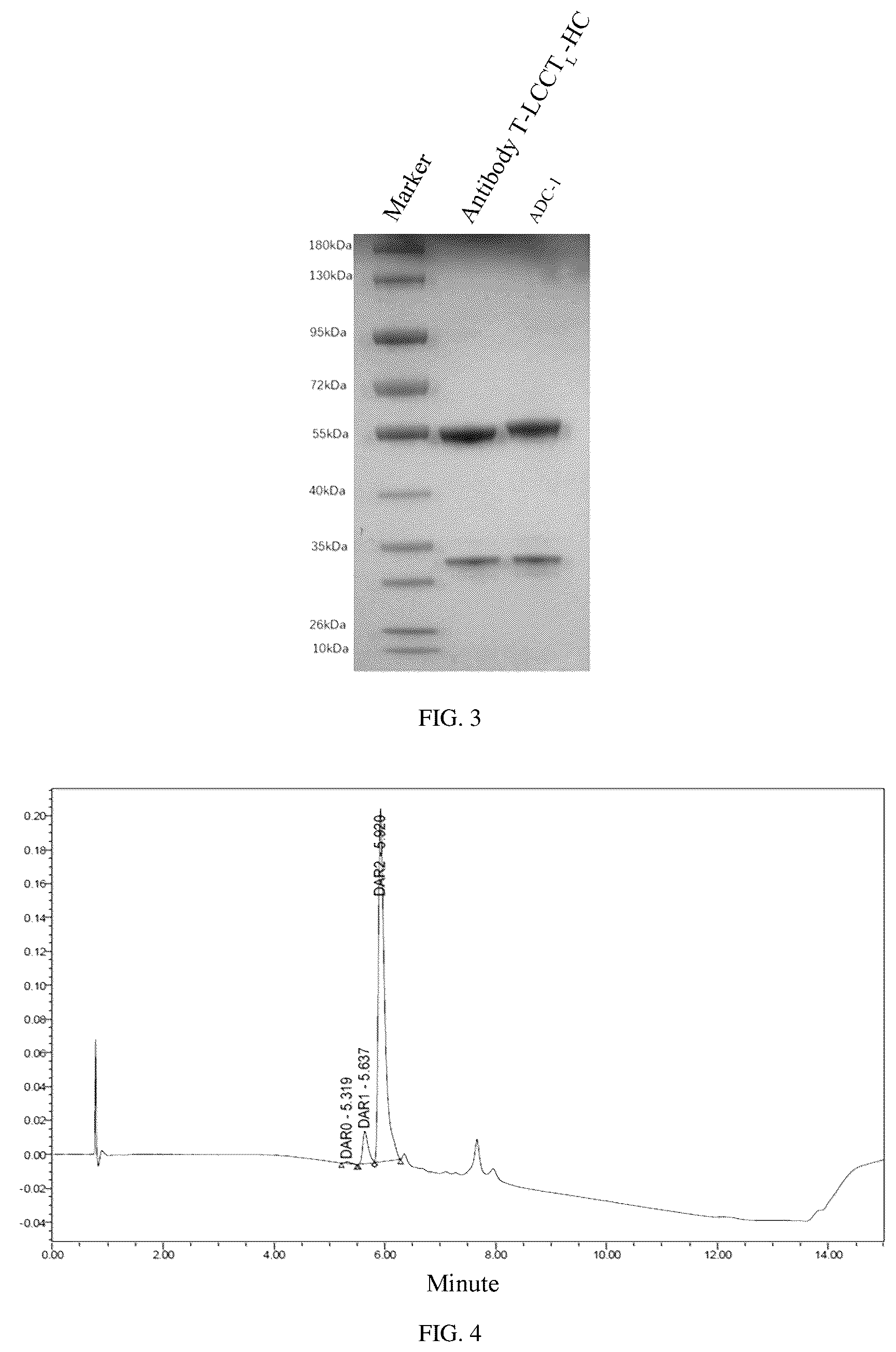 Patent US12377151 Figure 2 – Immobilized endoglycosidase fusion protein and use thereof