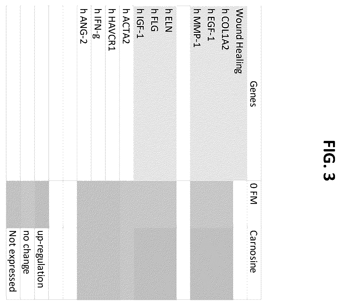 Patent US12377156 Figure 2 – Compositions and methods for treatment of wounds and inflammatory skin conditions
