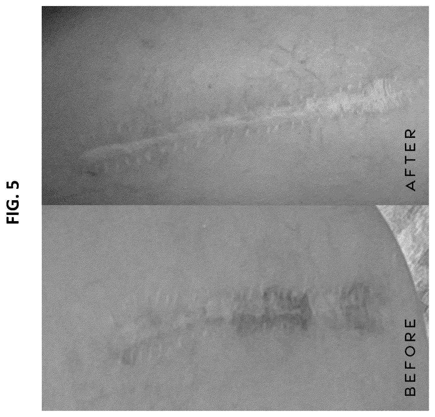 Patent US12377156 Figure 4 – Compositions and methods for treatment of wounds and inflammatory skin conditions