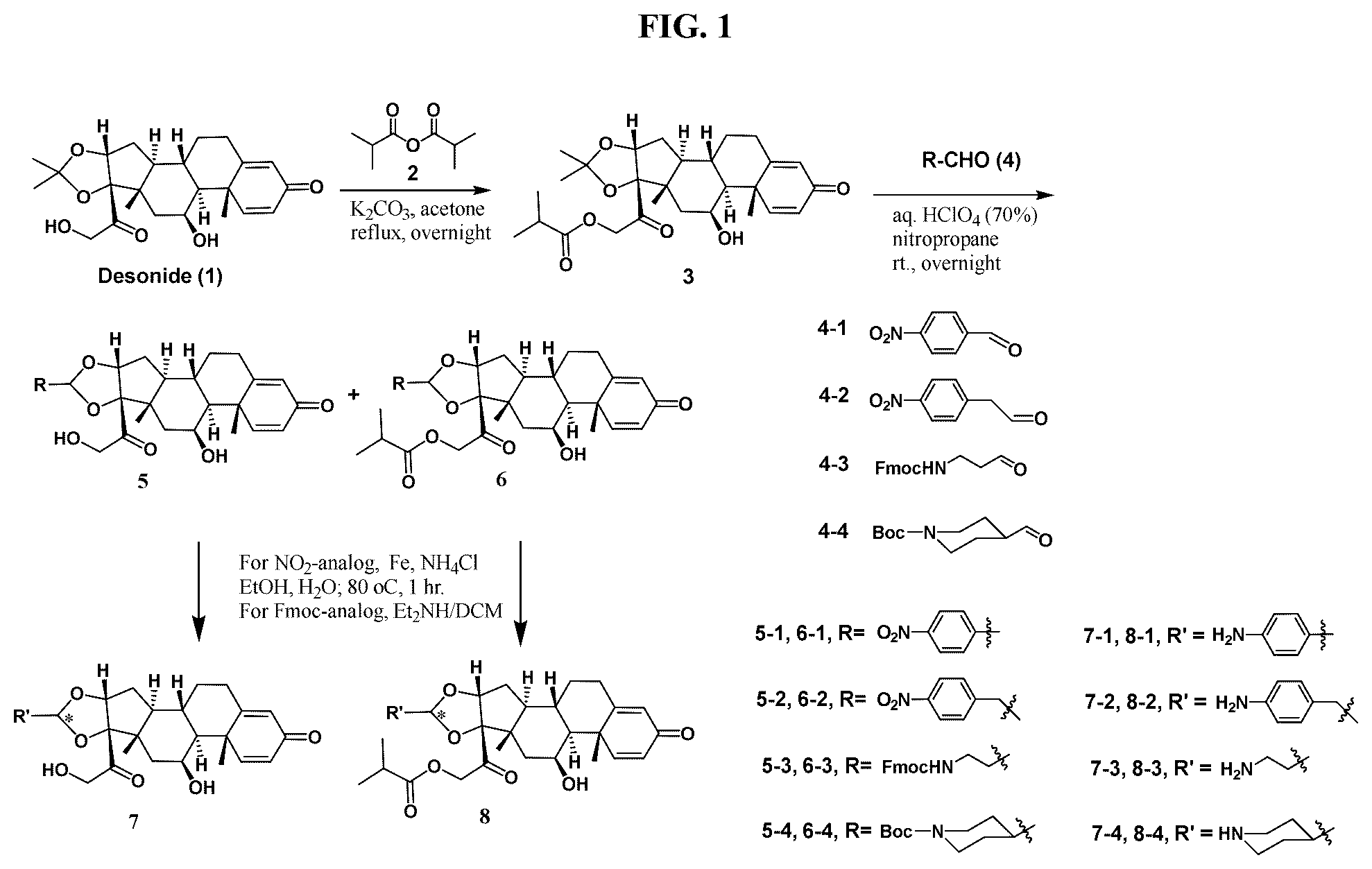 Patent US12377159 Figure 1 – Steroids and protein-conjugates thereof