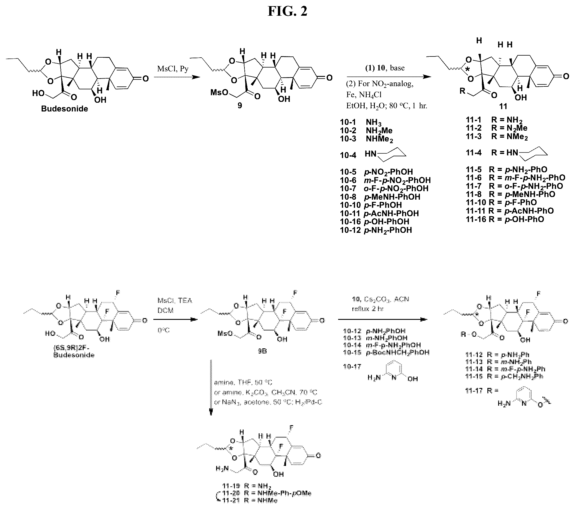 Patent US12377159 Figure 2 – Steroids and protein-conjugates thereof