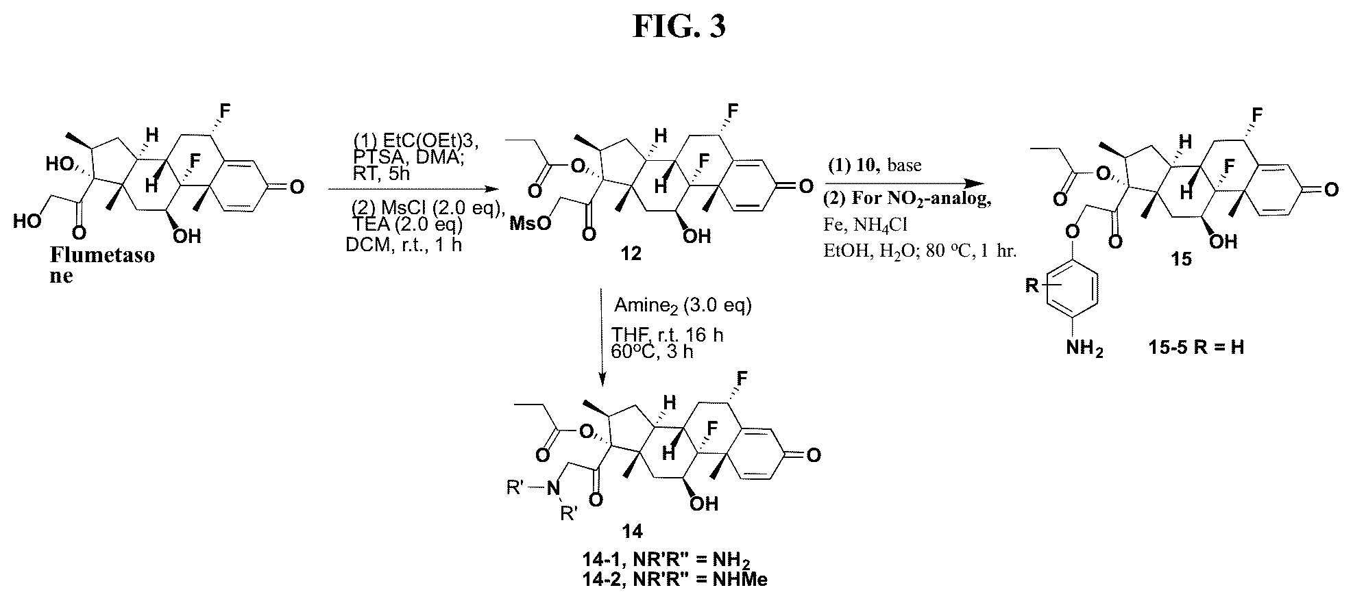 Patent US12377159 Figure 3 – Steroids and protein-conjugates thereof