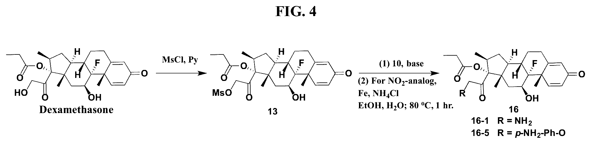 Patent US12377159 Figure 4 – Steroids and protein-conjugates thereof
