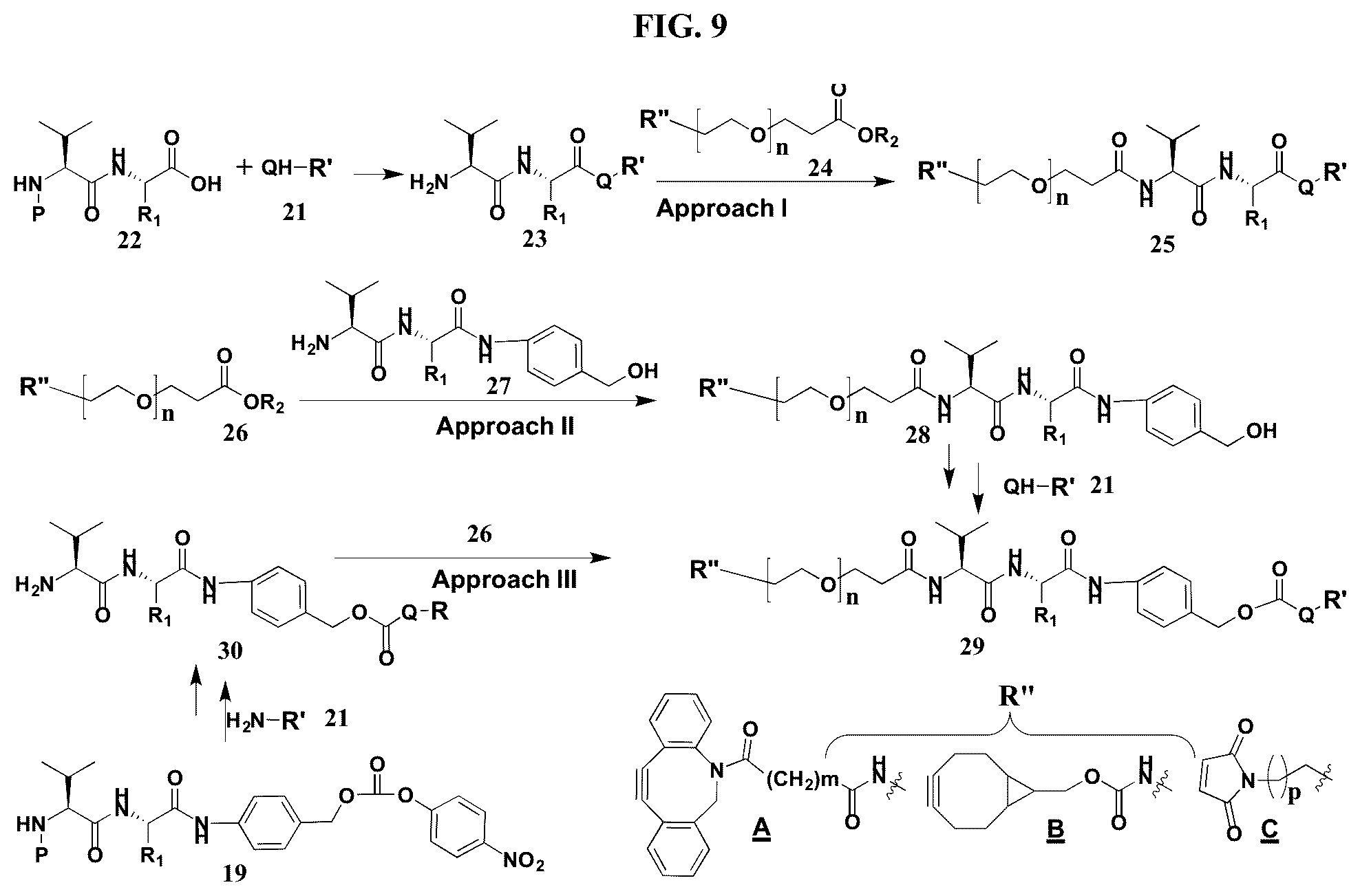 Patent US12377159 Figure 9 – Steroids and protein-conjugates thereof